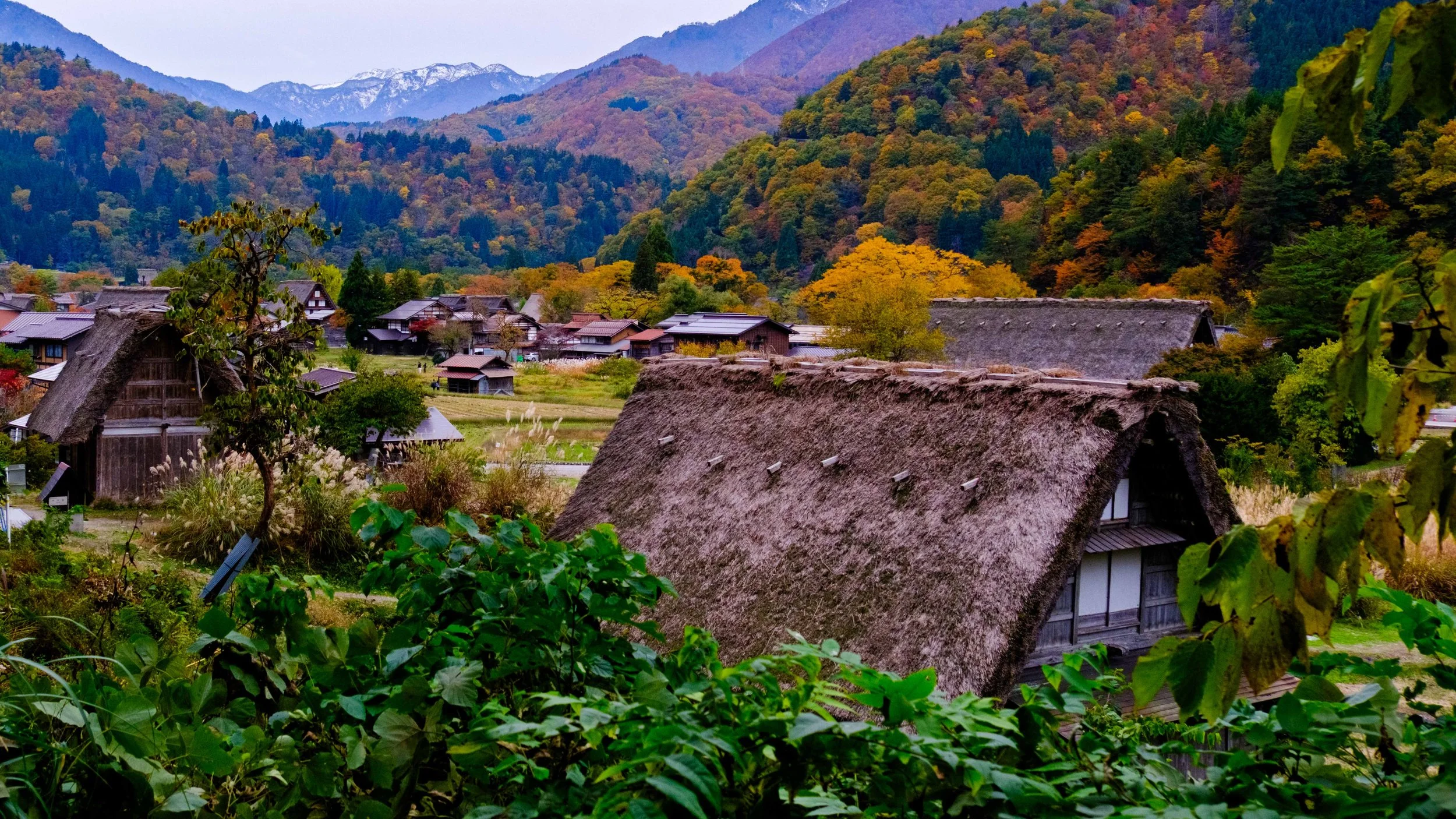 Japan 2025 webpage-53.jpg