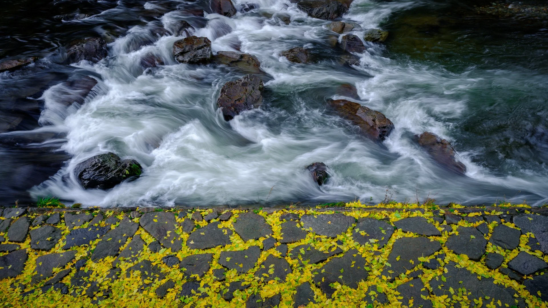 "River and Ginko" | February 2026 | Open - Digital | Honorable Mention (Score: 12) Non-Accepted  Images can  be re-entered. This Image was re-enter in the May 2026 salon and scored 10. Looks like another one that I'm the only one who likes it :-) 