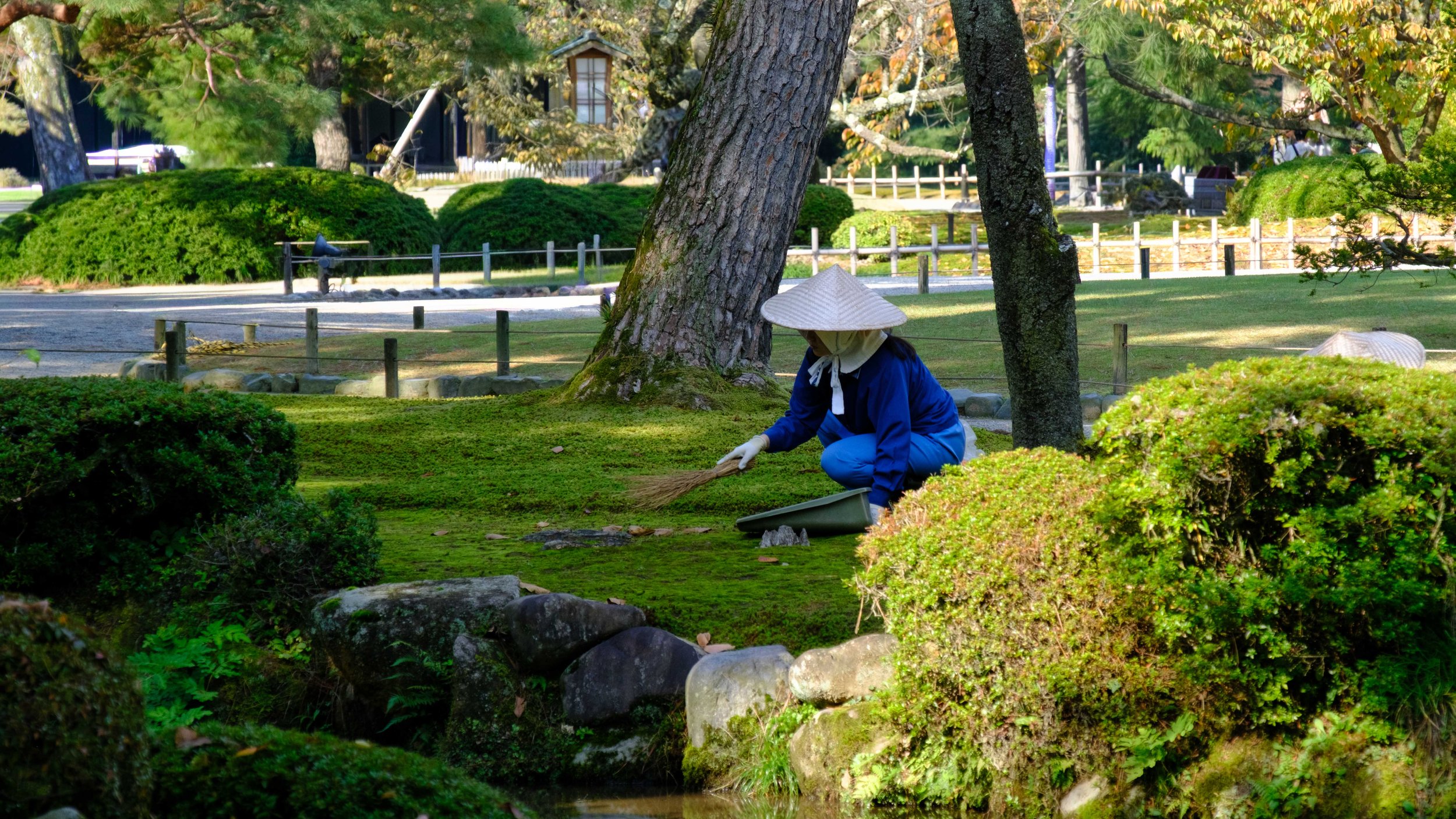 Japan 2025 webpage-48.jpg