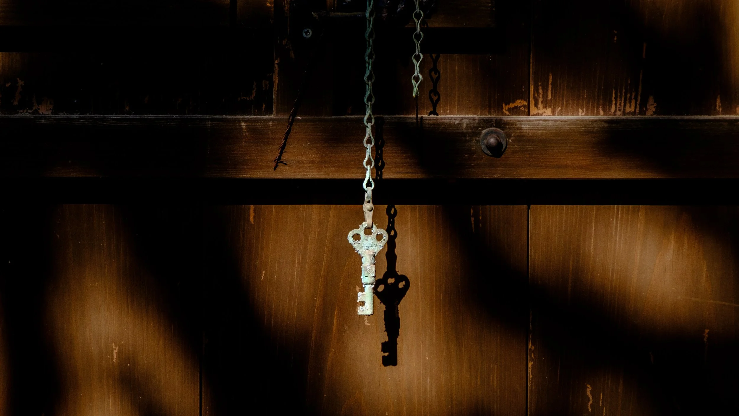 Japan 2025 webpage-46.jpg