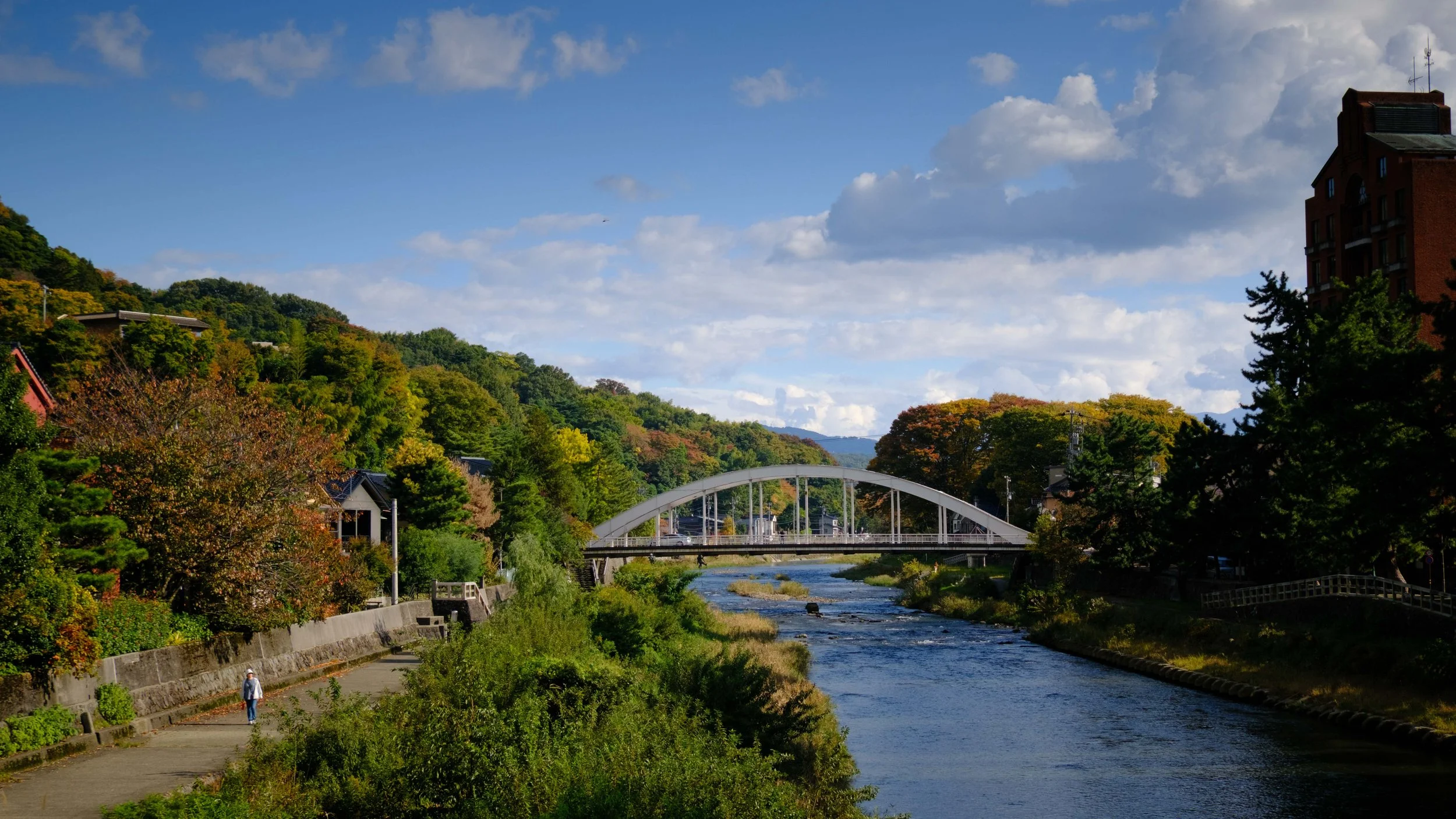 Japan 2025 webpage-31.jpg