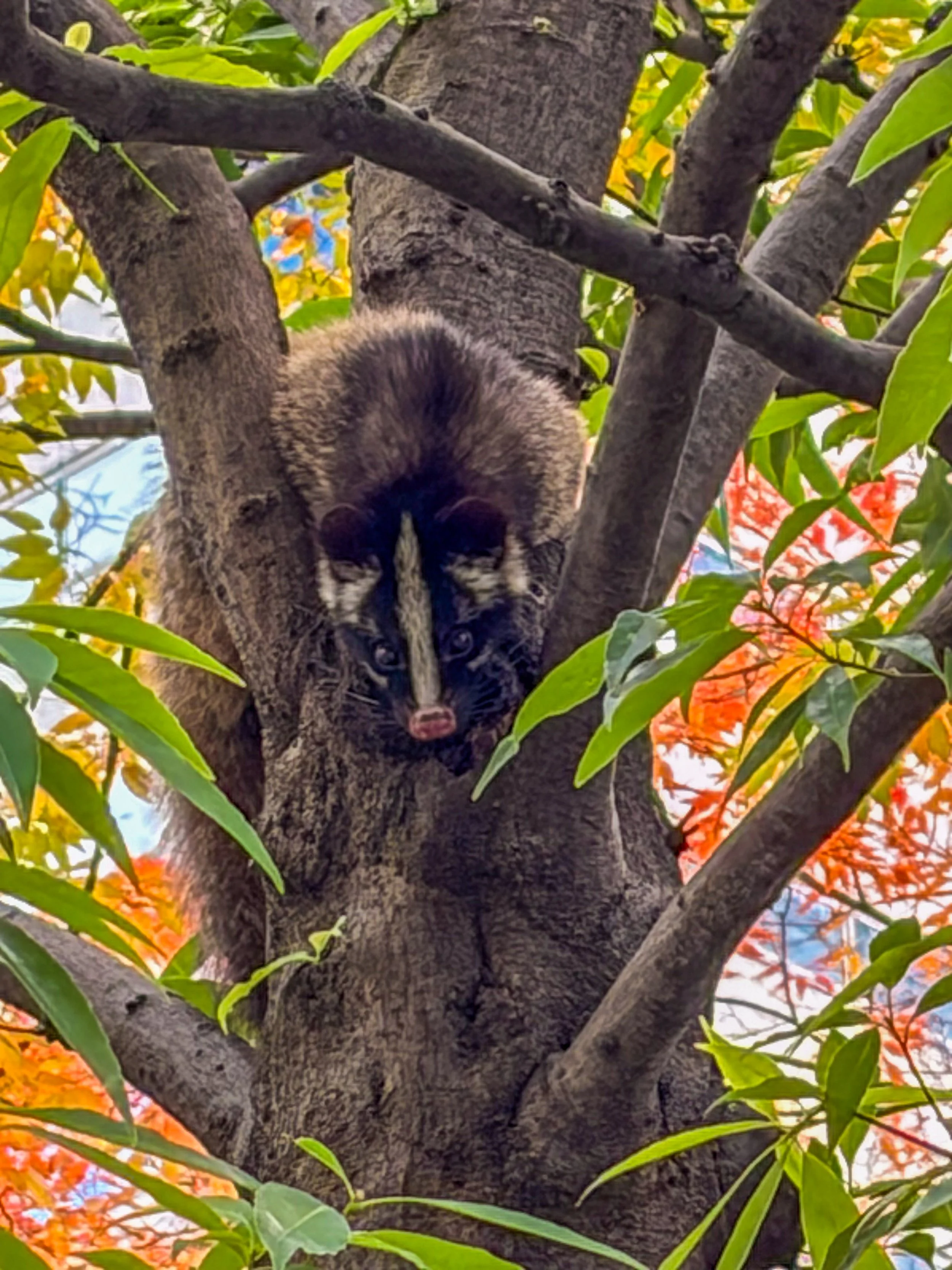 Japan 2025 webpage-78.jpg