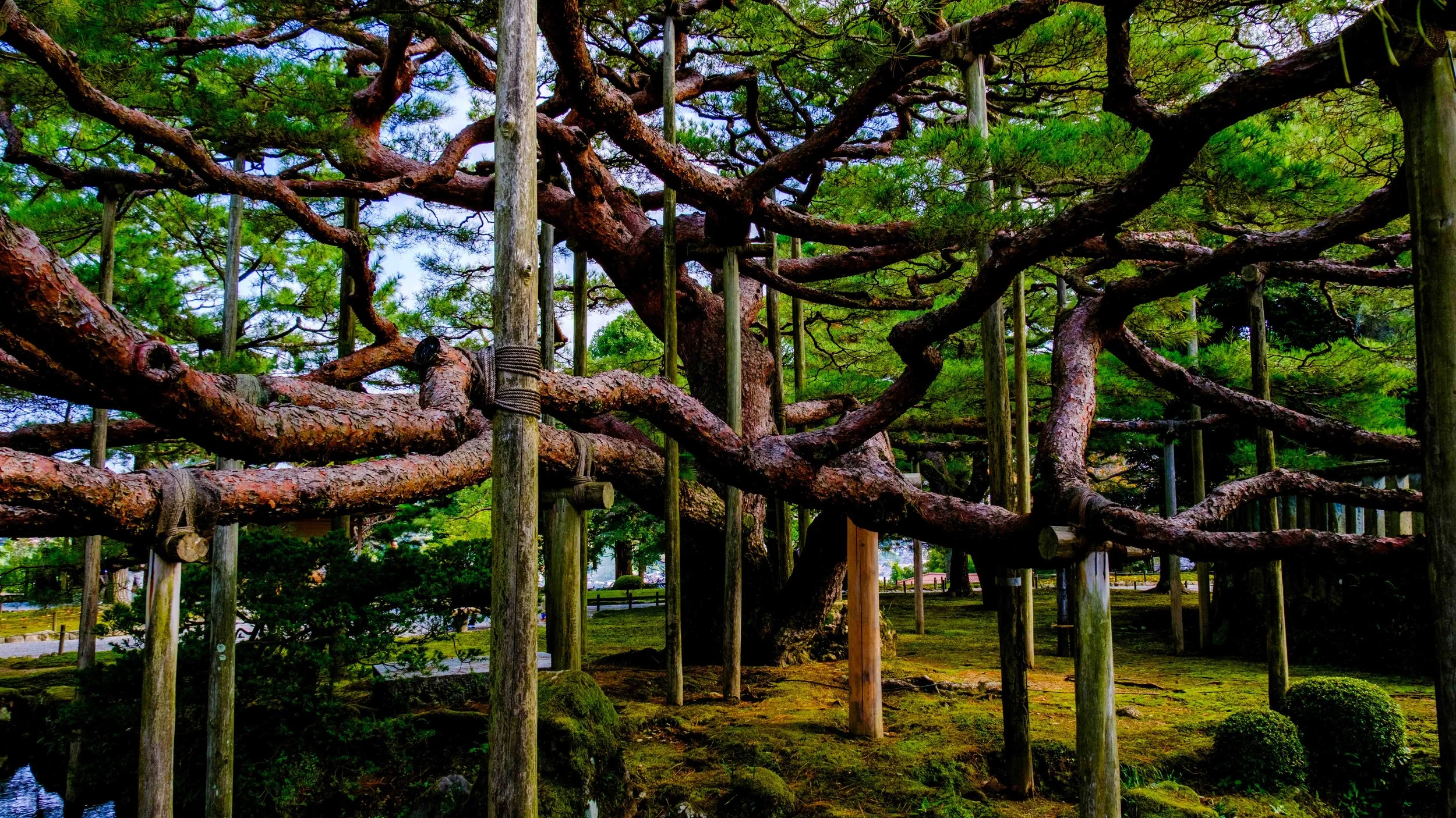 Japan 2025 webpage-49.jpg