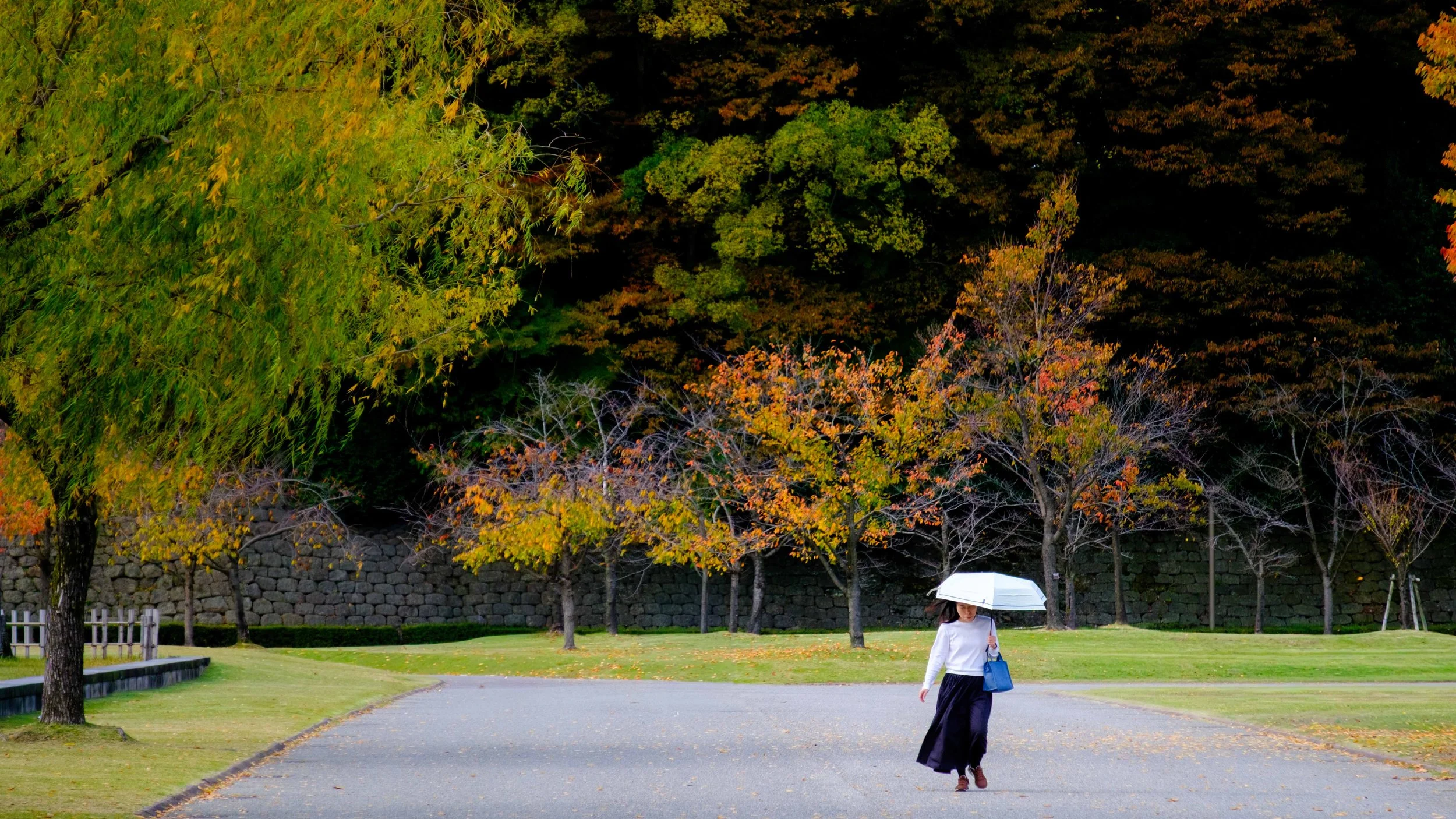 Japan 2025 webpage-28.jpg