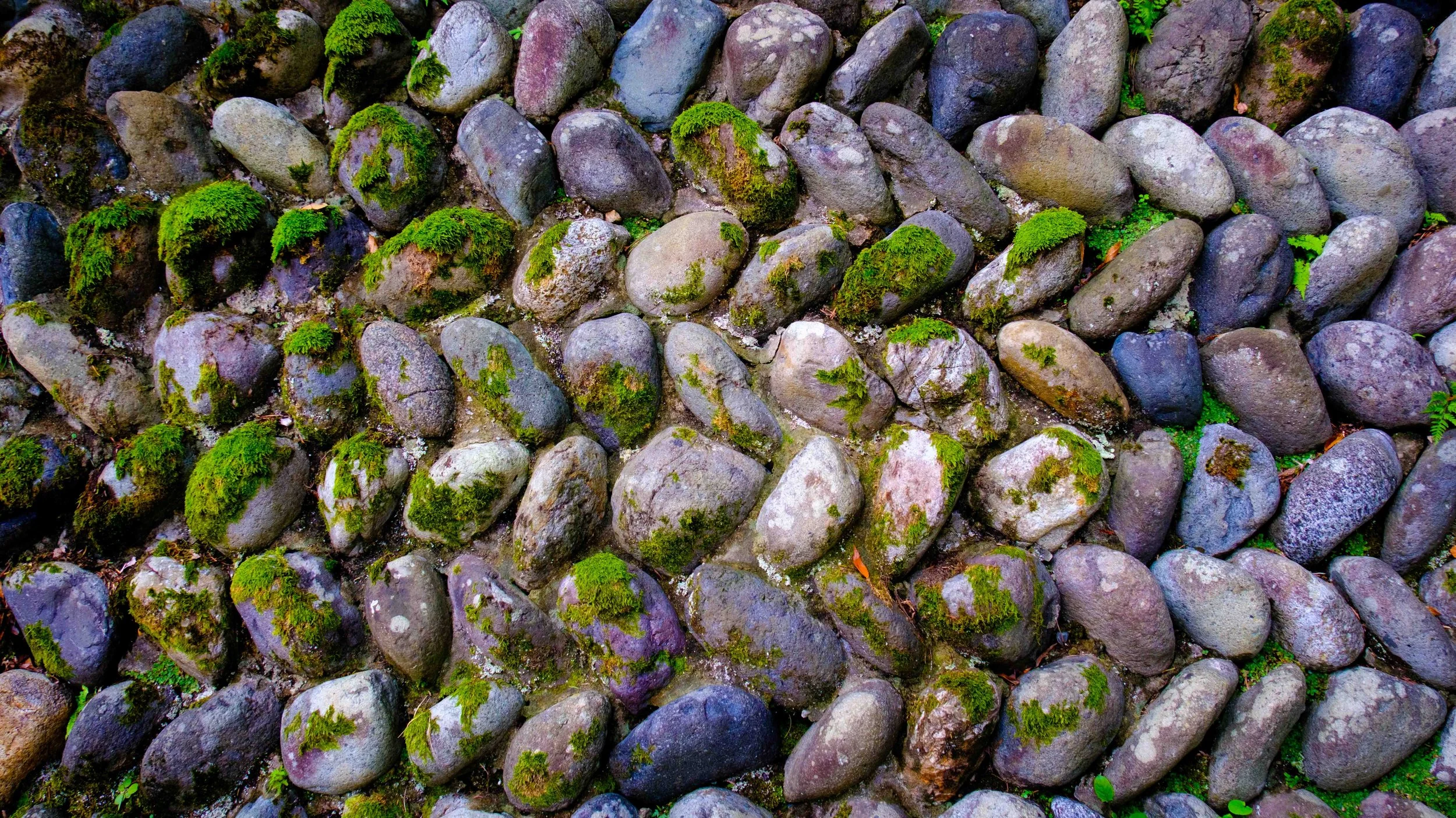 Japan 2025 webpage-21.jpg