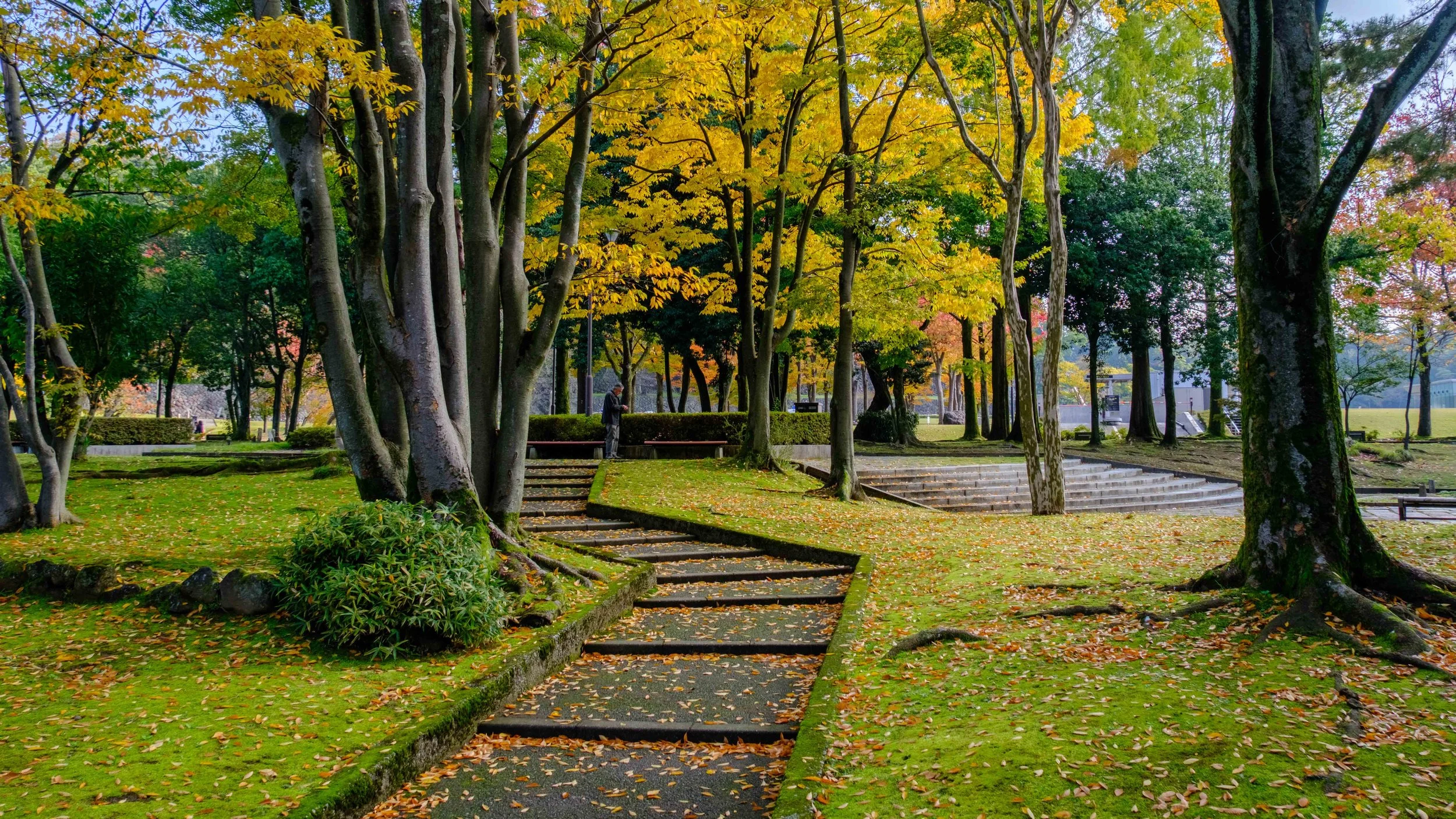 Japan 2025 webpage-40.jpg