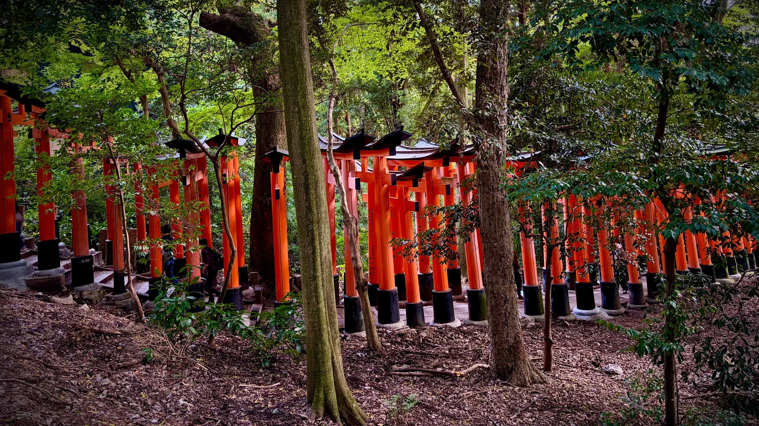 Japan 2025 webpage-64.jpg