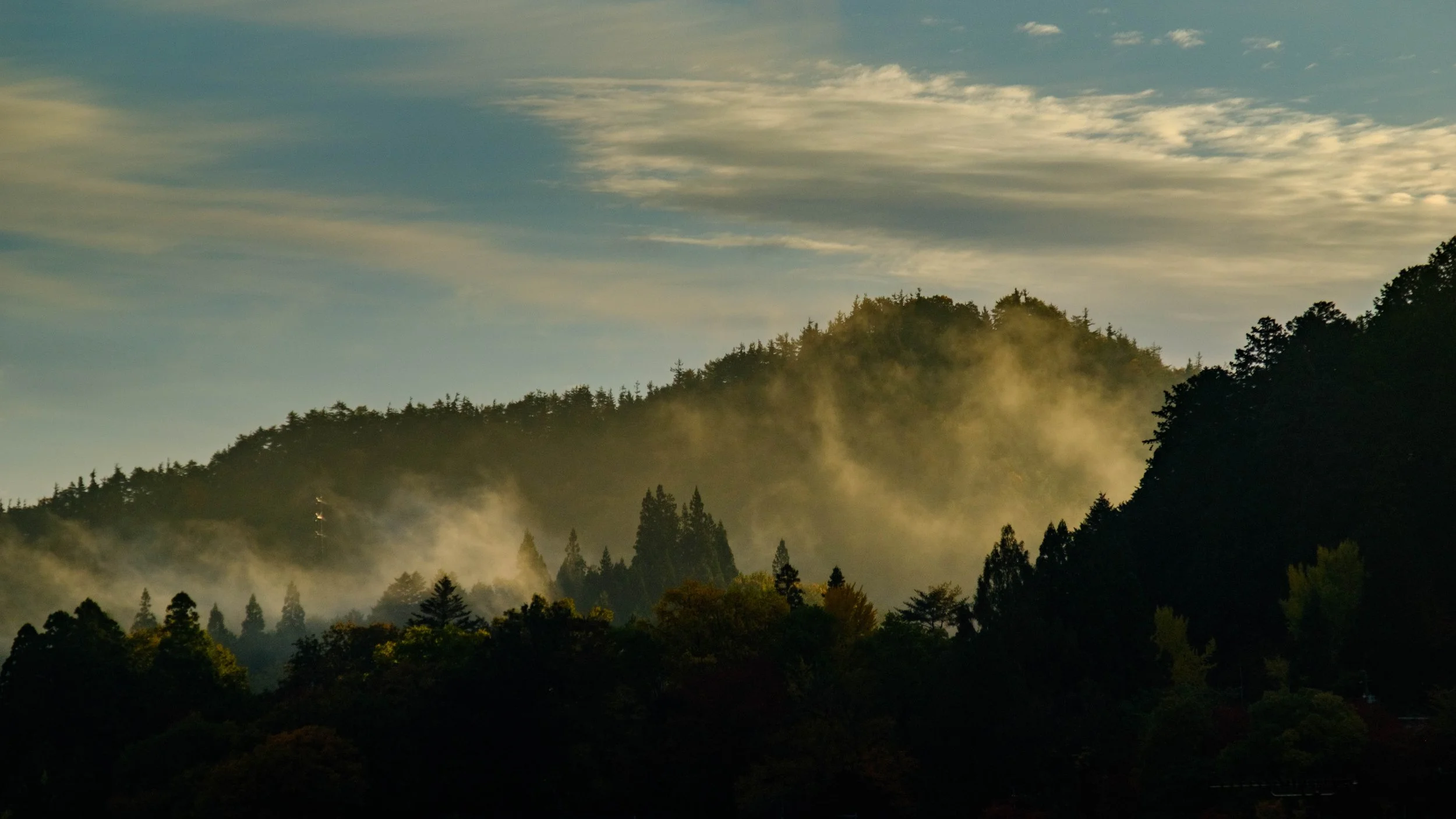 Japan 2025 webpage-56.jpg