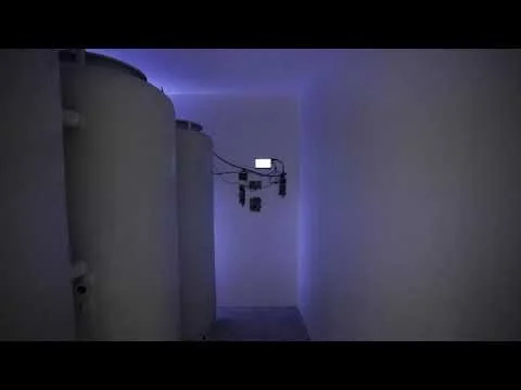 Pause / Undoing Time