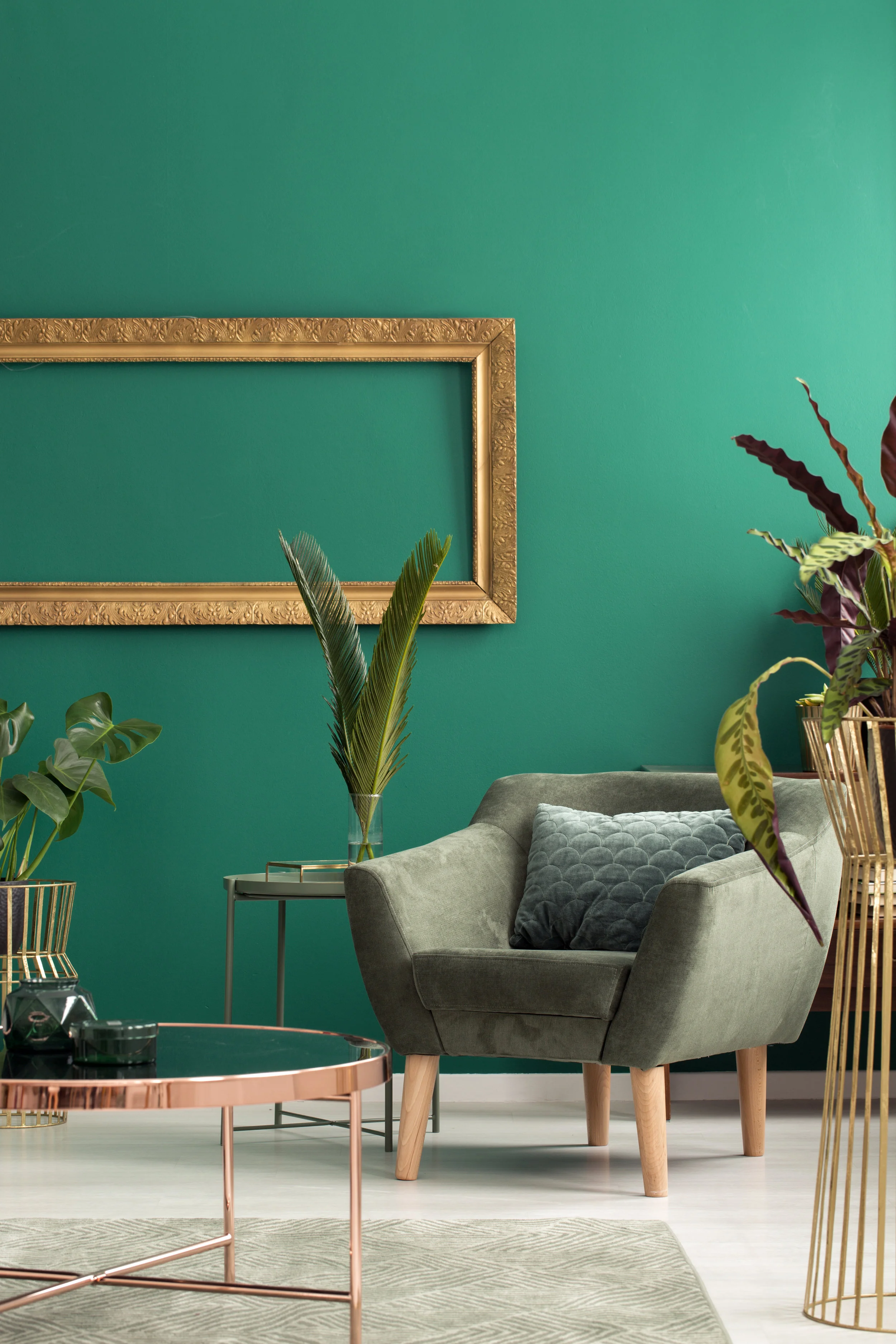 iStock-936491280 tropical.jpg