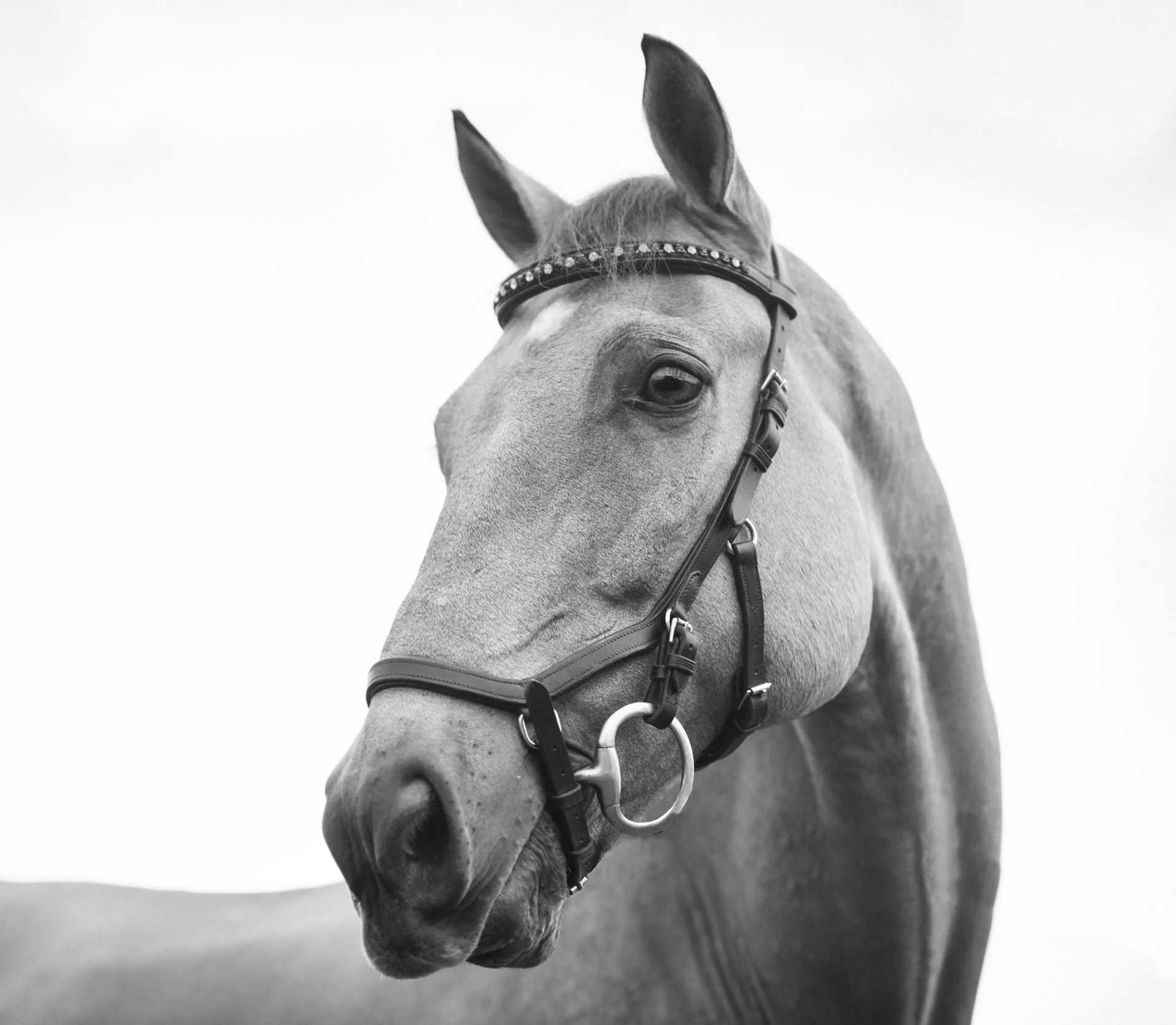 Head/Neck position on spine movement.