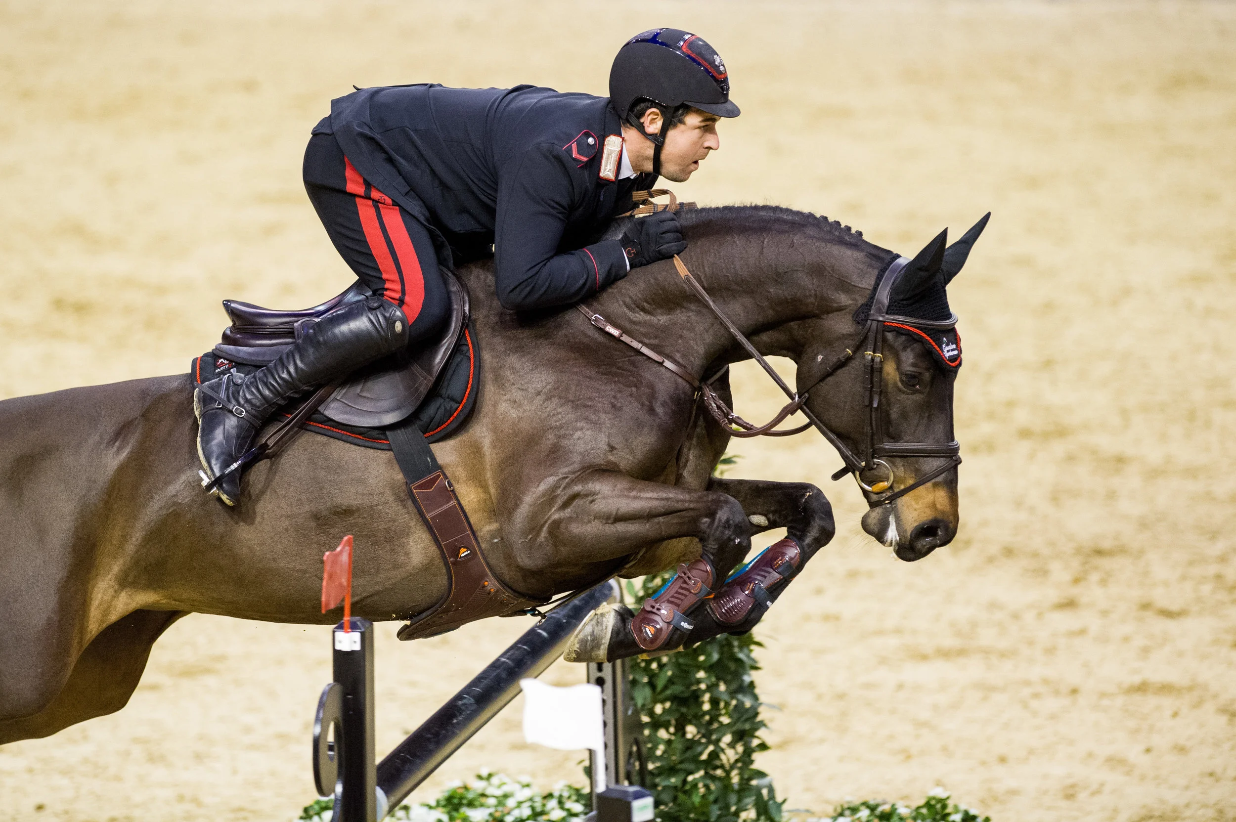 How Your Horse Jumps