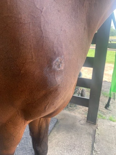 Summer Sore Testimonial