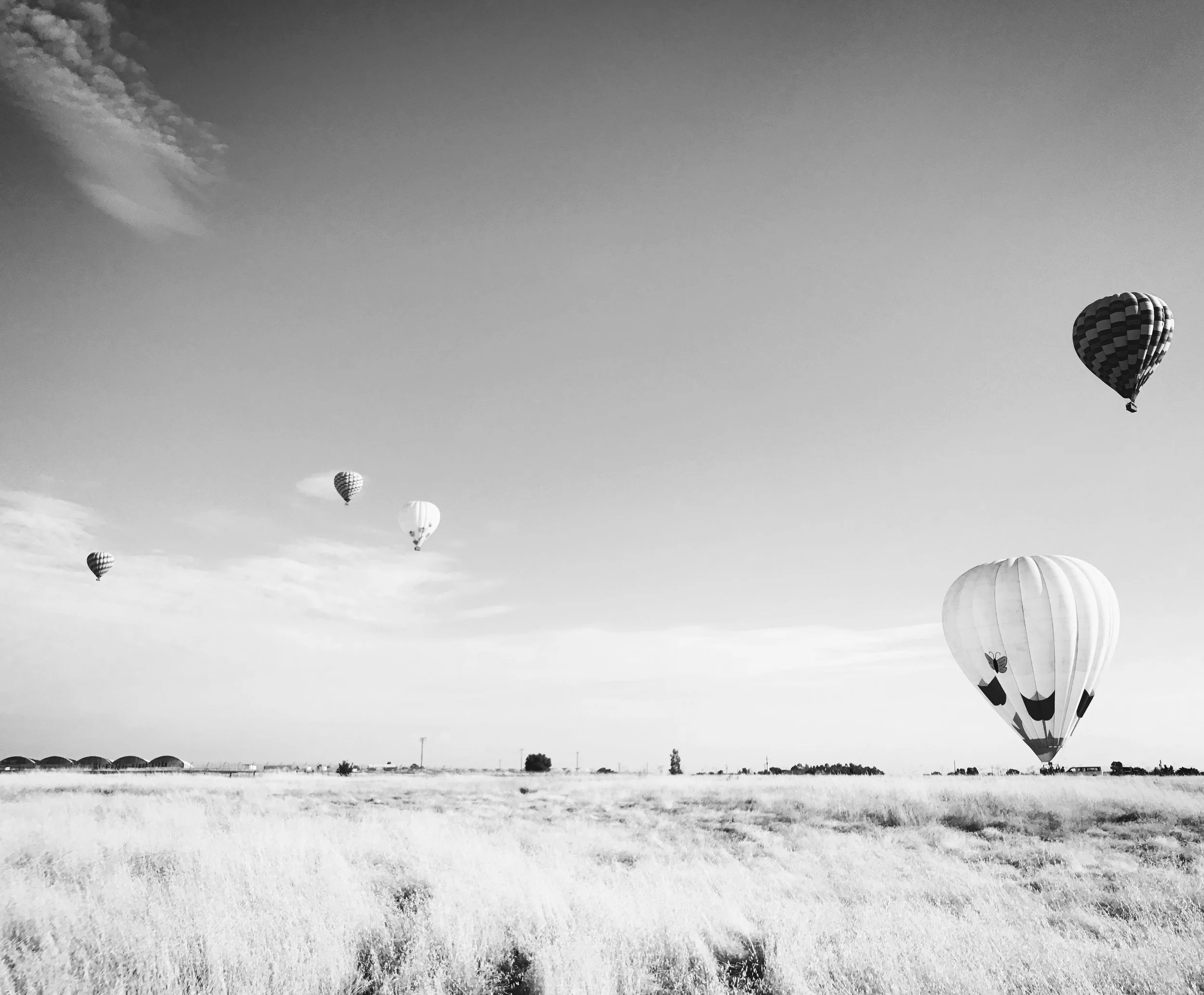 International Monetary Bodies Join in Three Main Reporting and Exchange Initiatives