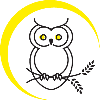 NOB-owl.png