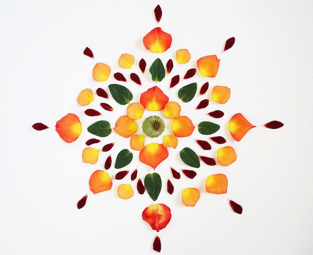 inspiration image