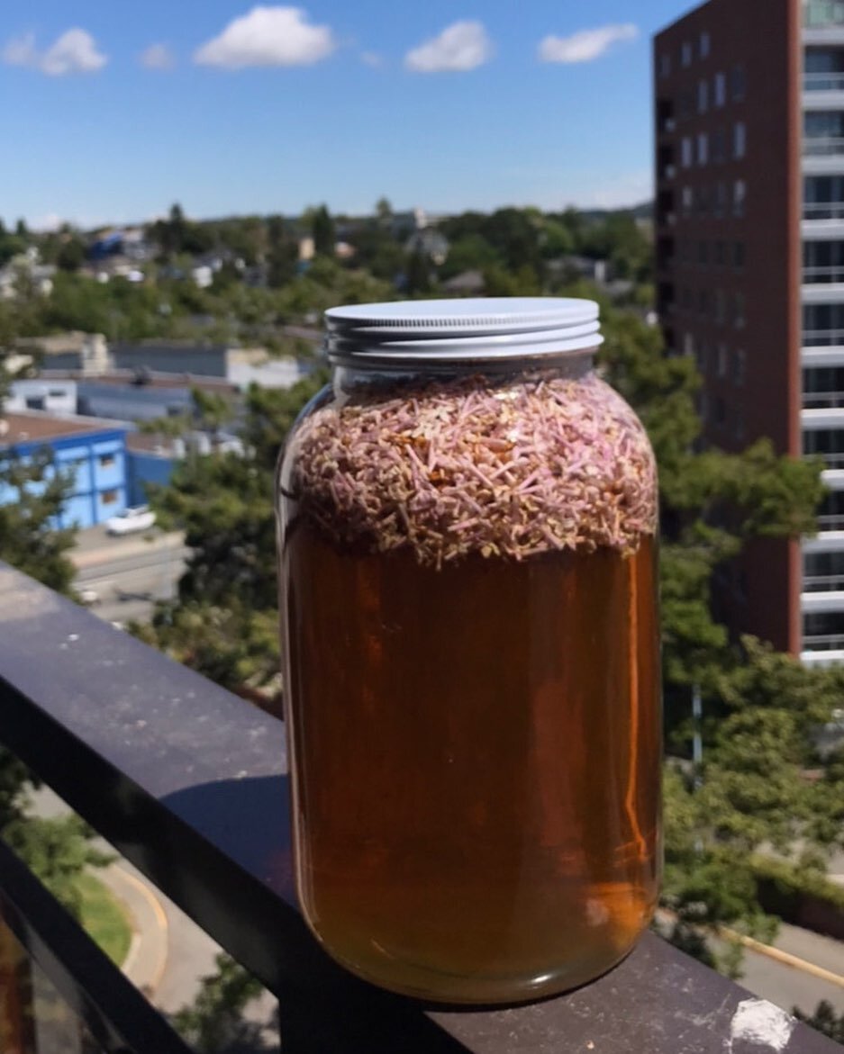 It&rsquo;s almost lilac syrup canning season! This is something I hope to do more of this year! If you would like to have a lilac syrup making lesson please let me know! They should be ready in next few weeks. Then nooka rose making syrup.
Nice part 