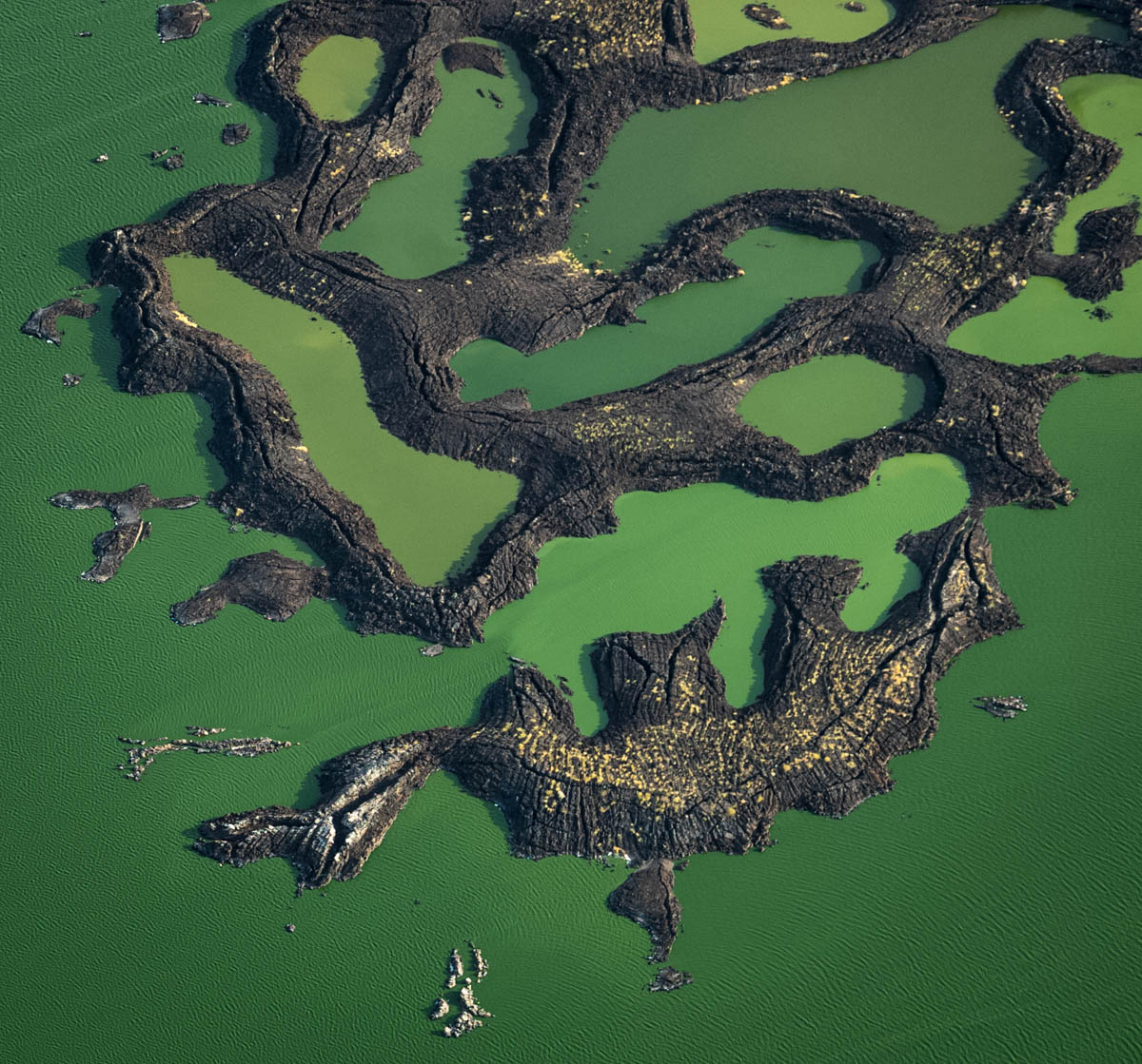 Water 7