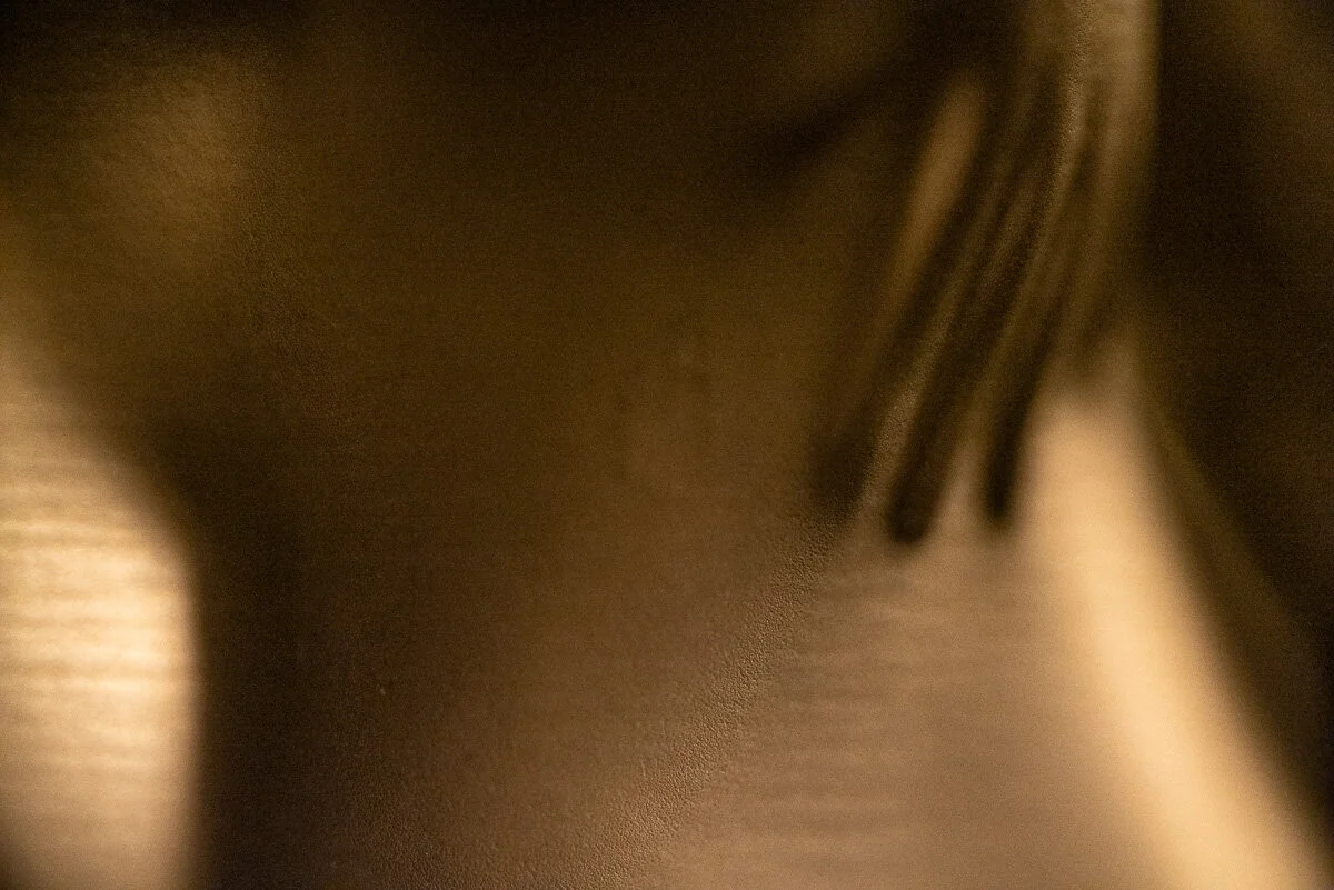 Lalique Vase Macro Series