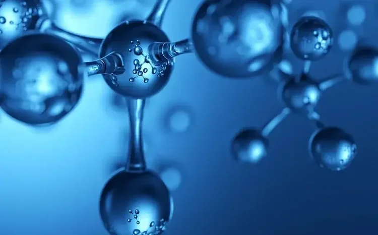 Diagram of NAD+ coenzyme pathway in mitochondrial energy production and DNA repair.