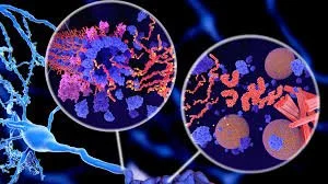 Diagram illustrating Sermorelin's mechanism on the pituitary gland to naturally release Growth Hormone.