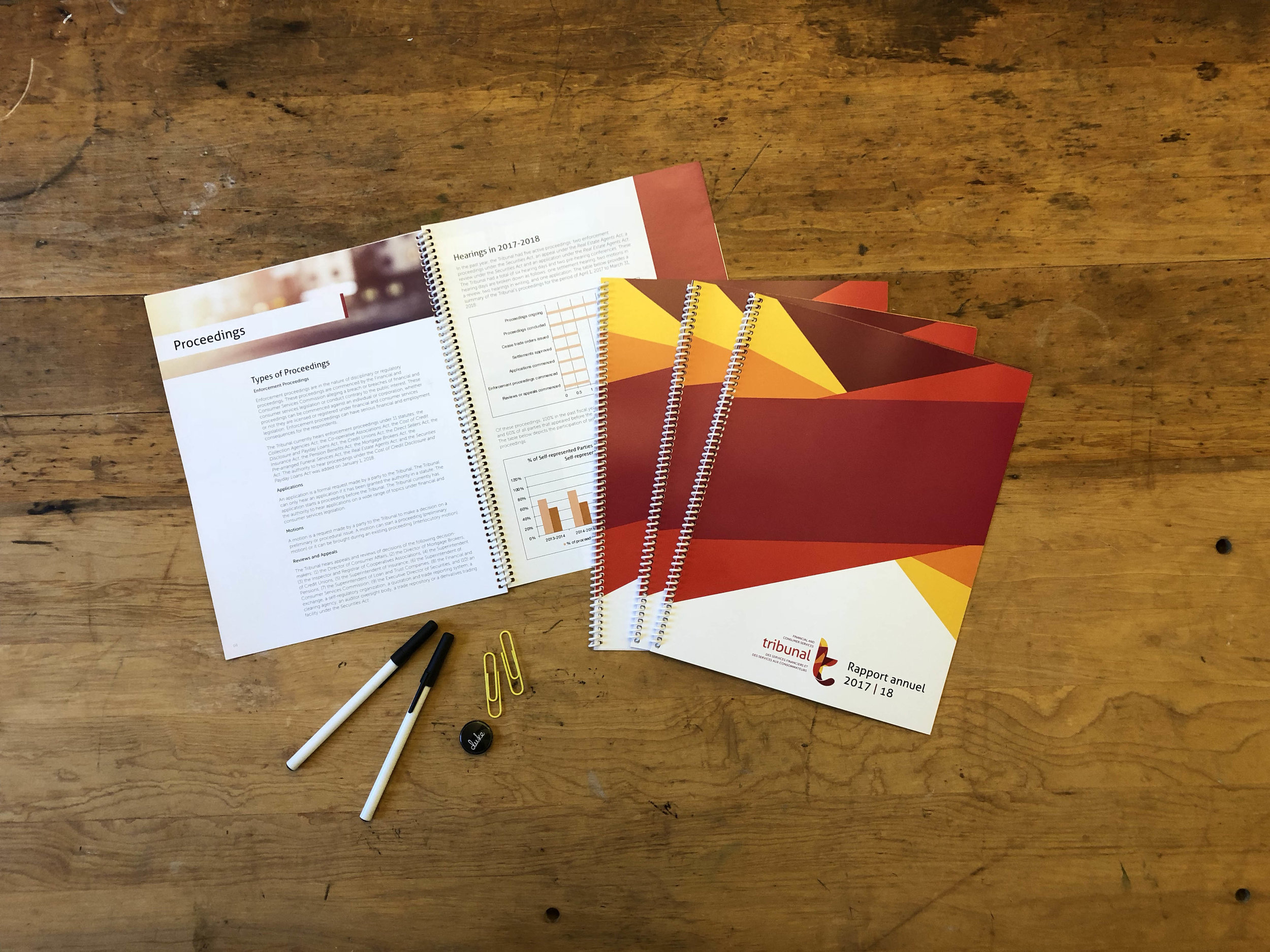 FCNB Tribunal identity and annual report