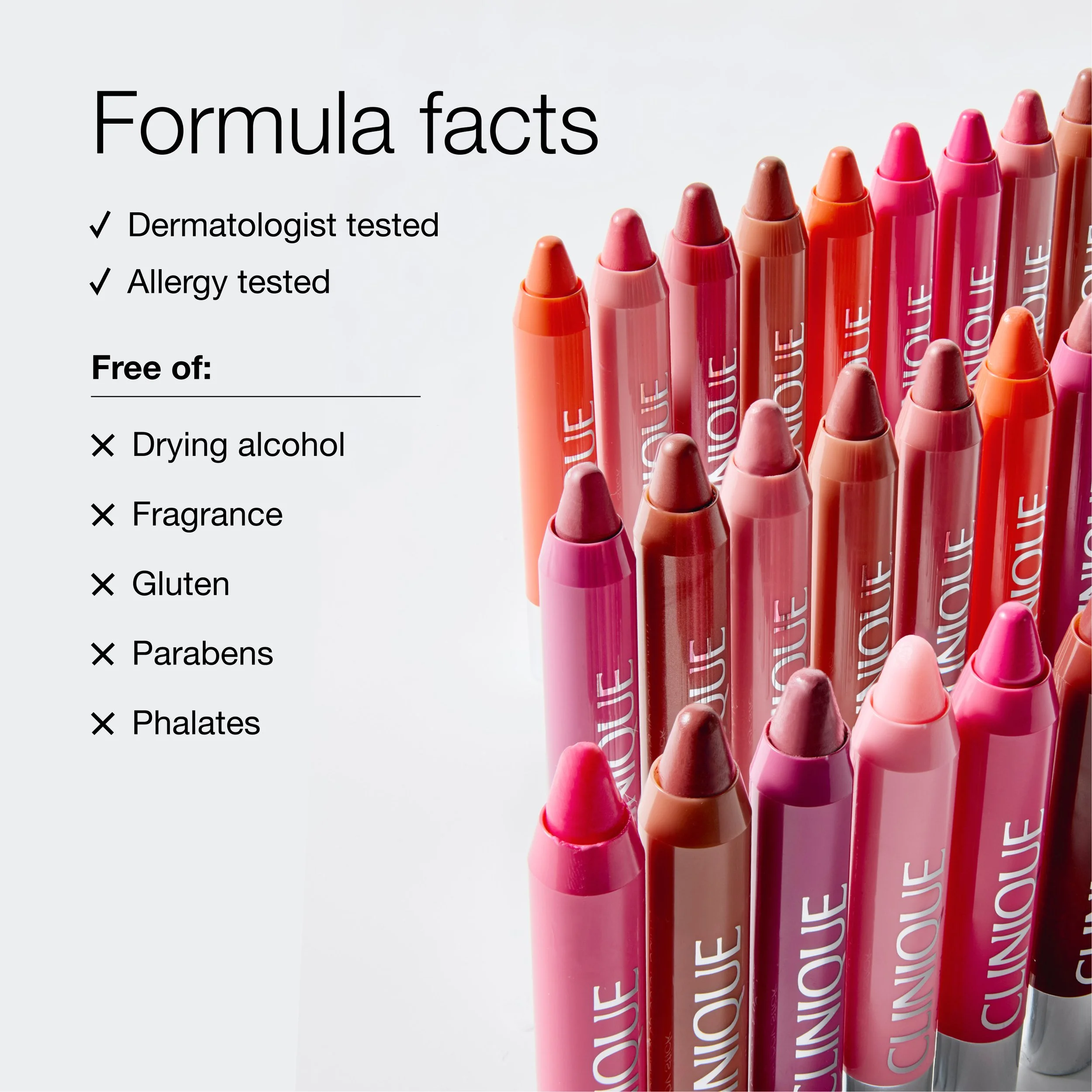 SP26_ChubbyLip_Alt_Formula Facts_3000x3000.jpg