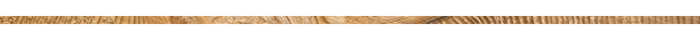 Untitled design (10).png