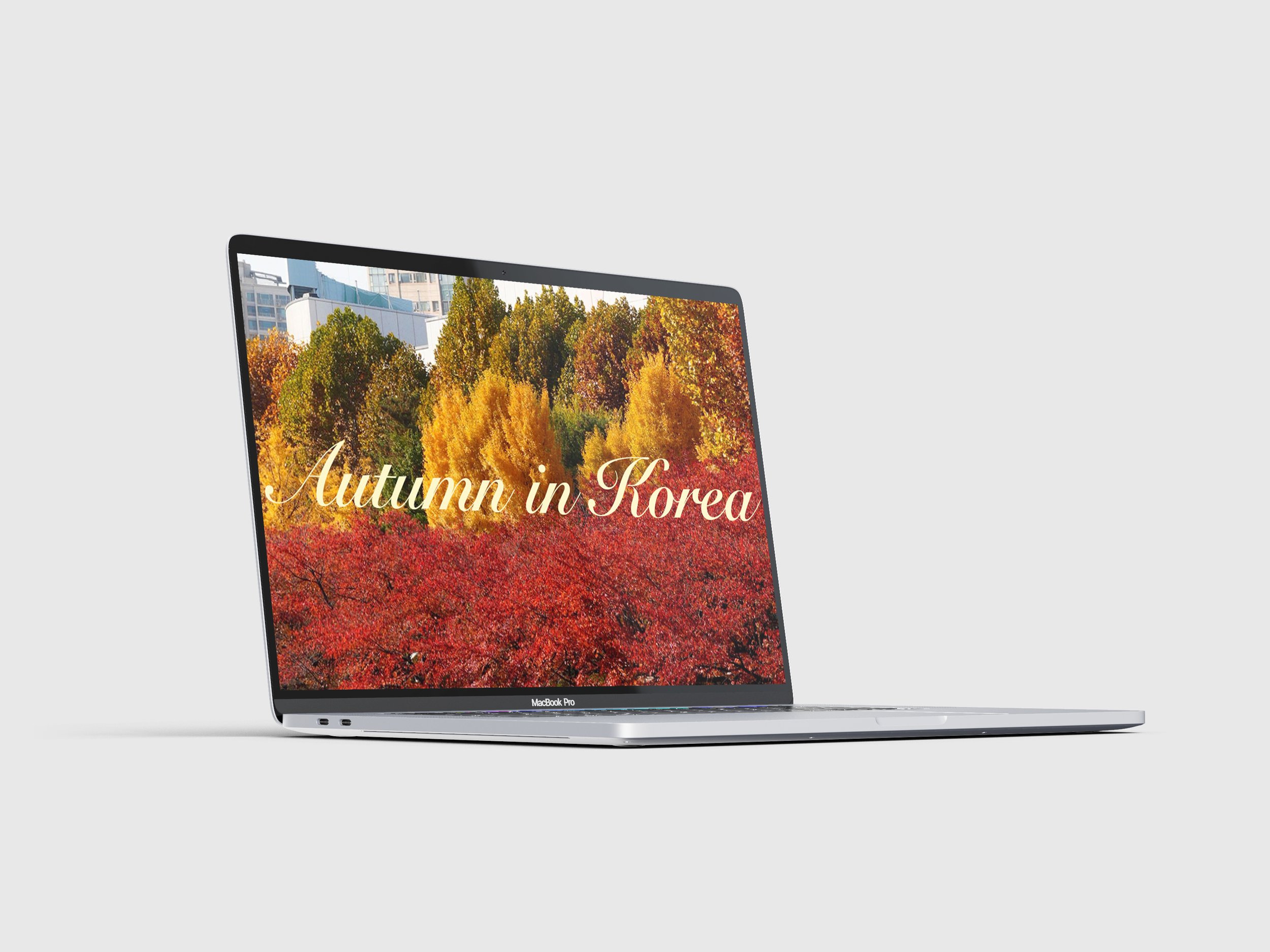 autumninkoreamacbook.jpg