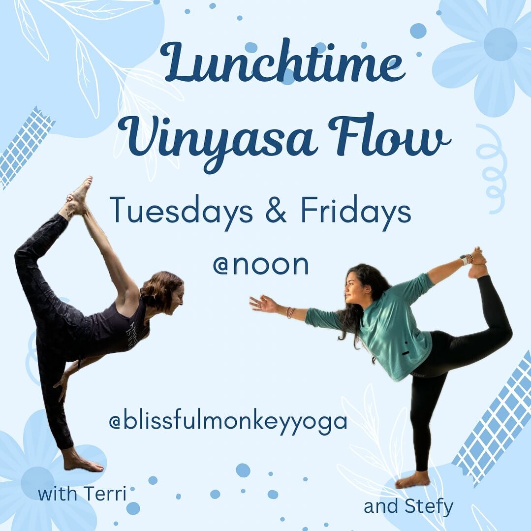 Spring is here! 🌷Take some time for a midday refresh with an invigorating vinyasa flow Tuesdays and Fridays at noon!

Sign up at the link in bio!

#blissfulmonkey #blissfulmonkeyyoga #bostonyoga #jamaicaplain #jp #rossie #roslindale #bostonyogastudi