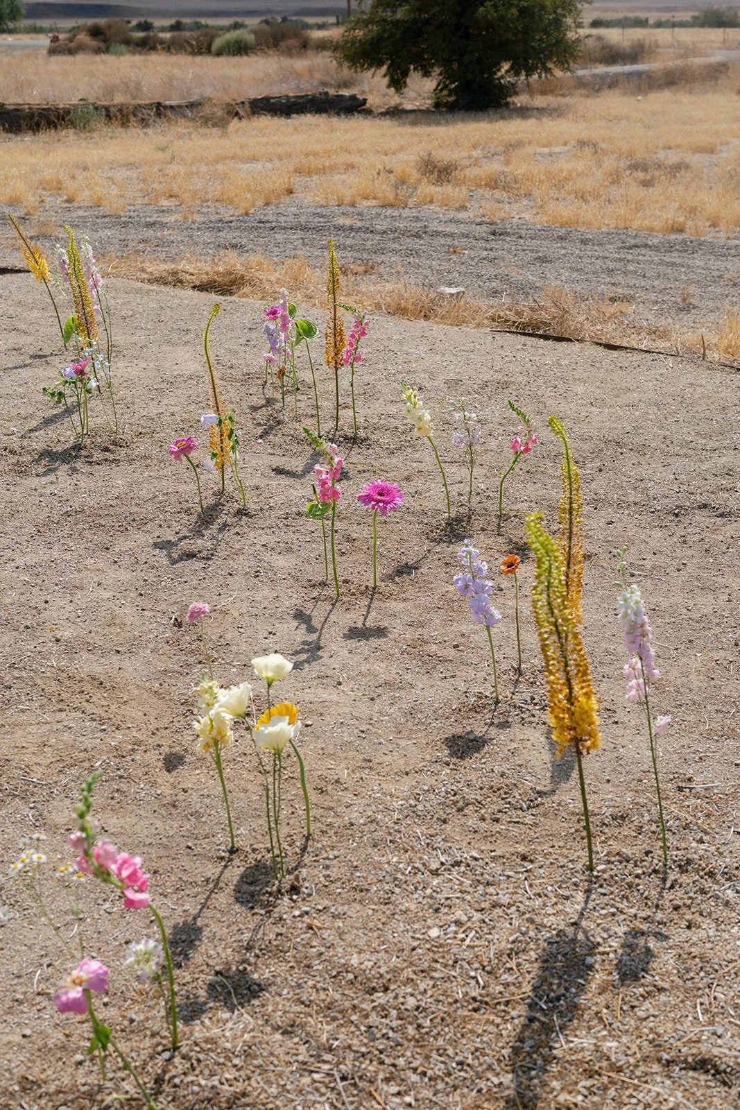 LOVELIA_FLORAL_FLORIST_WEDDING_CUYAMA_BUCKHORN_MANDEE JOHNSON_PHOTOS_COLORFUL_FUN_WEDDING_DESSERT_IKEBANA_CENTERPIECES_FLOWER_BRIDAL_BOUQUET_SOPHIE+AUSTIN_15.jpg