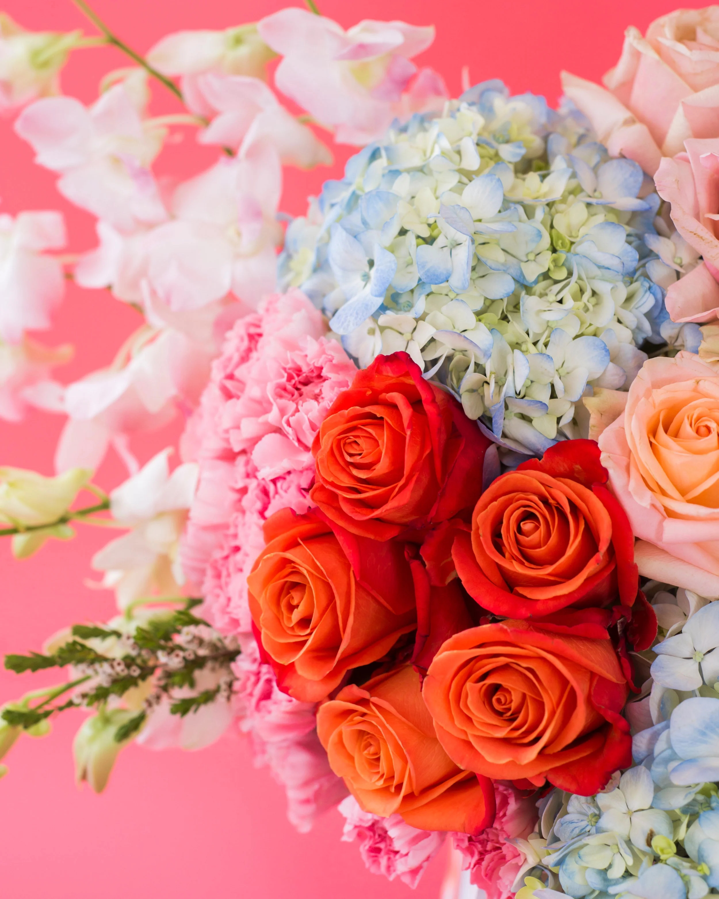 lovelia-love-in-the-air-roses