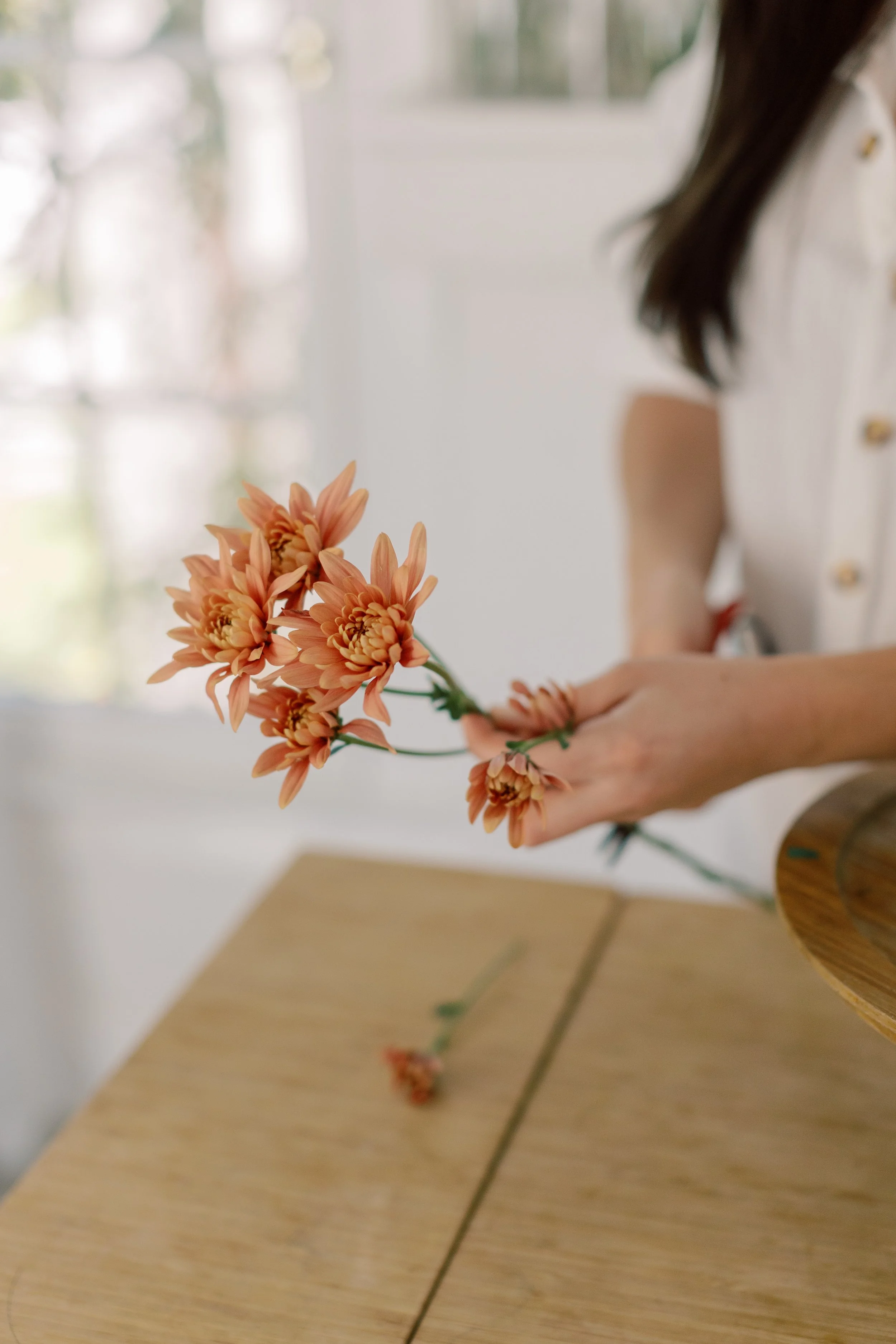 A close up of orange flowers with a blurred background.