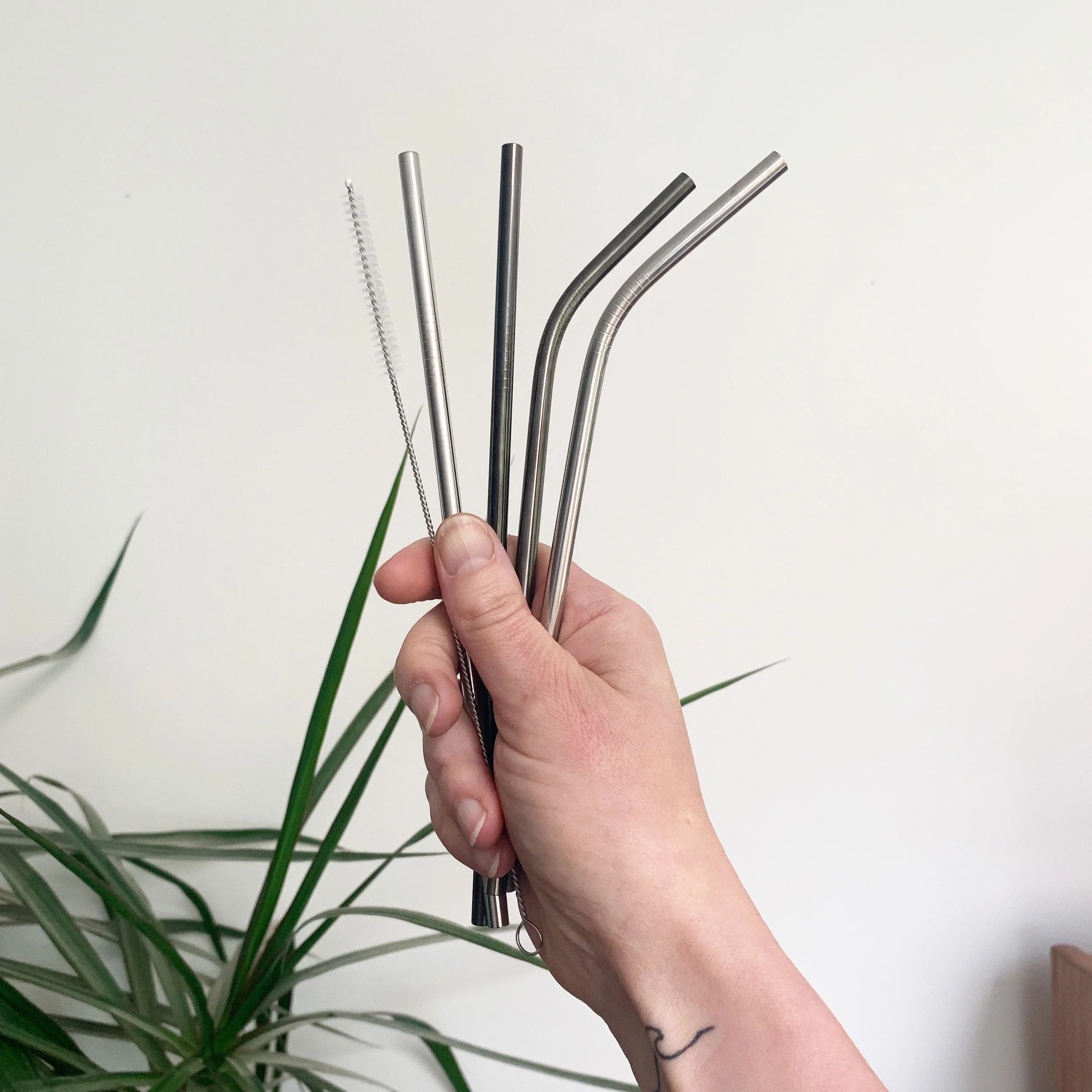 Vesta Living Reusable Steel Straws