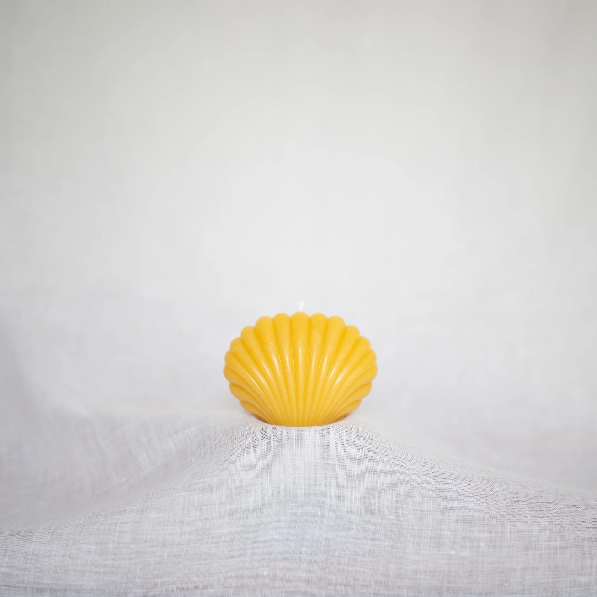 4DF69146-00A8-4354-B58E-9858CCEF2F1D