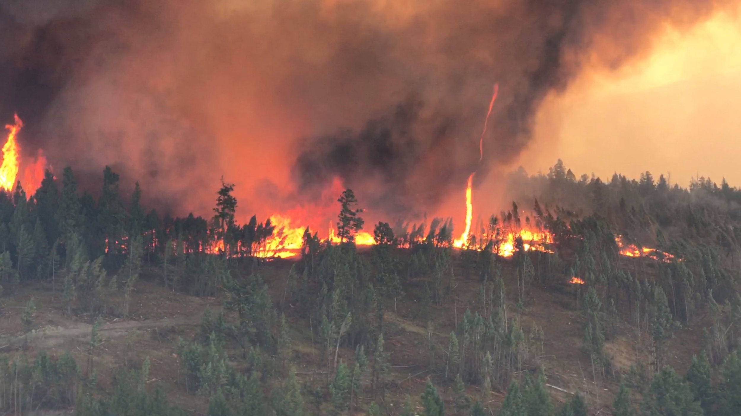 90th Parallel - BC wildfire.jpg