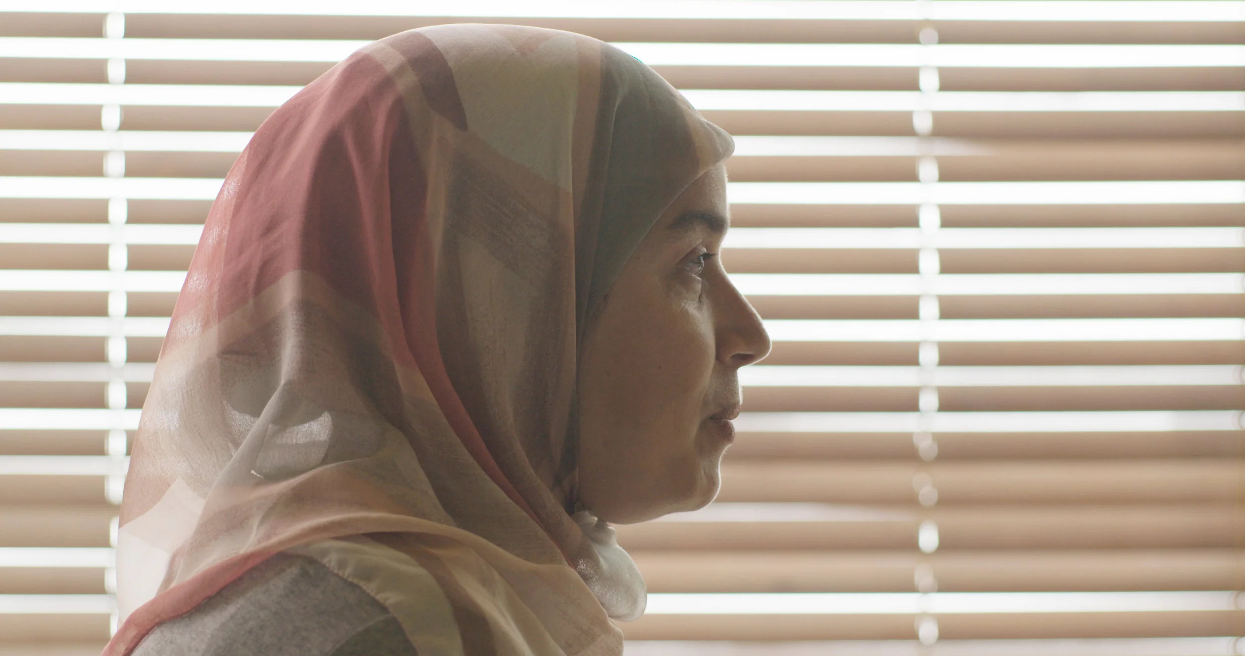 Screengrab_FATIMA_REC709_000020.jpg