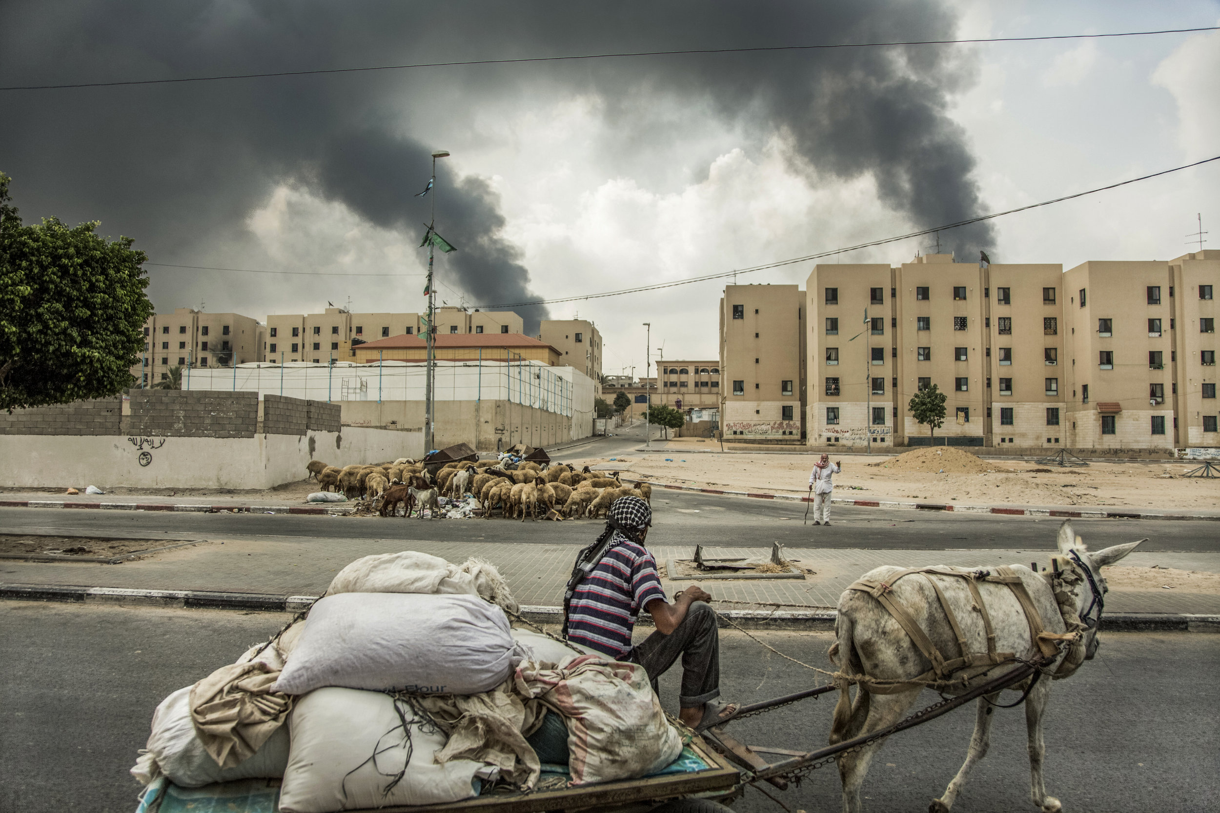 Gaza 09 (War 2014).JPG