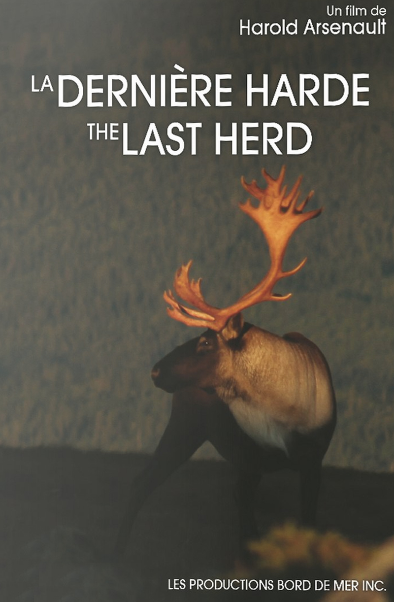 The Last Herd