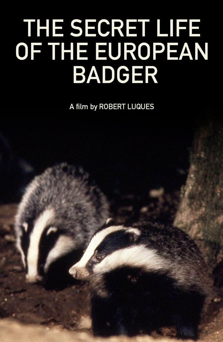 The Secret Life of the European Badger