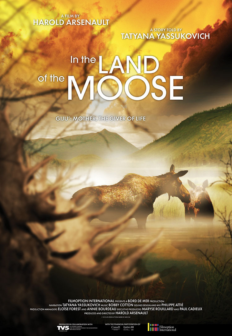 In the Land of the Moose