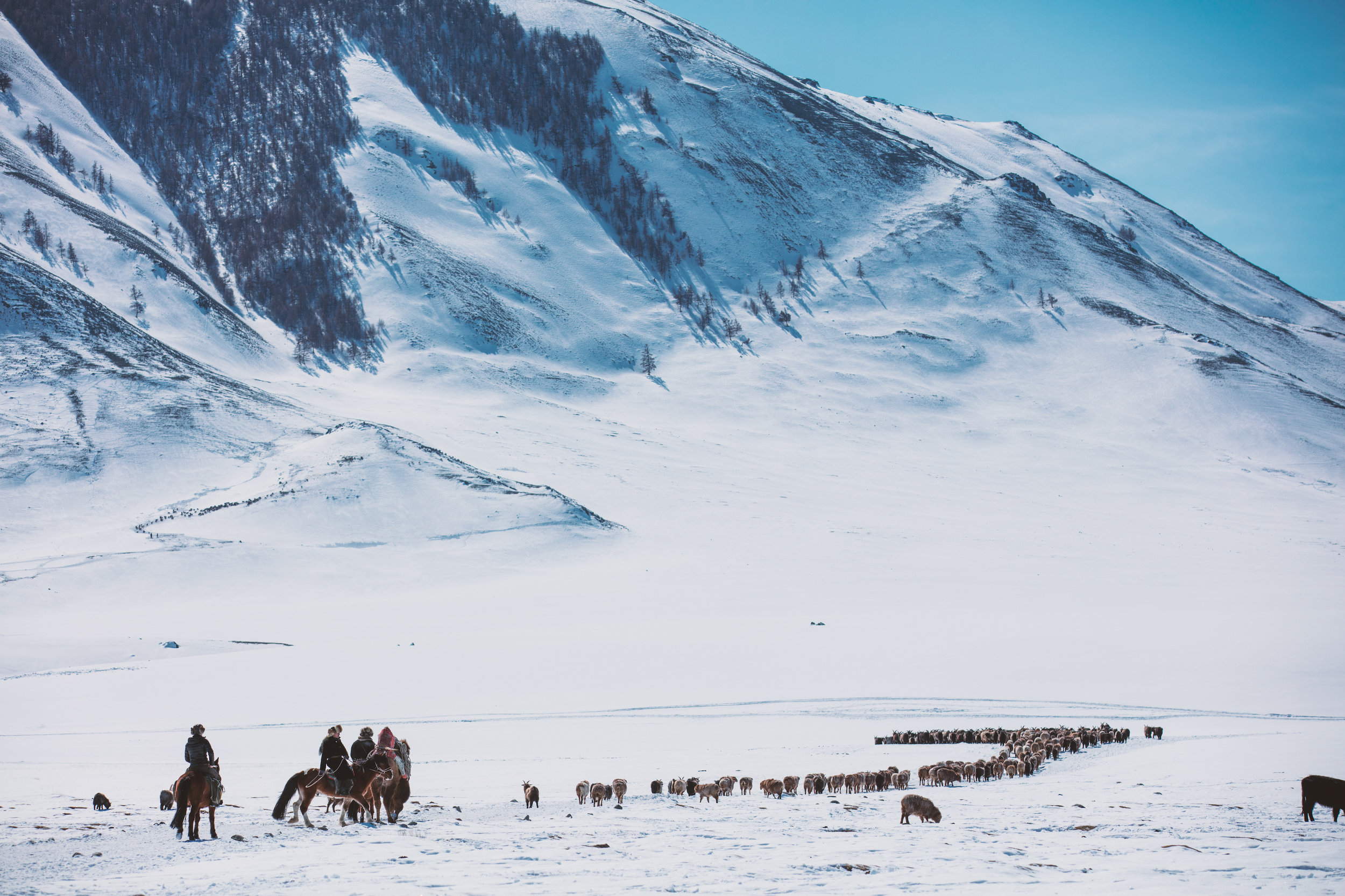 Kazakh nomads on the winter migration,Altai Mountains, Western Mongolia_Boy_Nomad_aAron_Munson.jpg