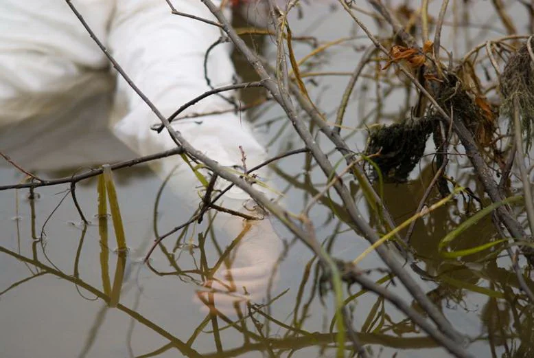 corps sous l'eau image001.jpg