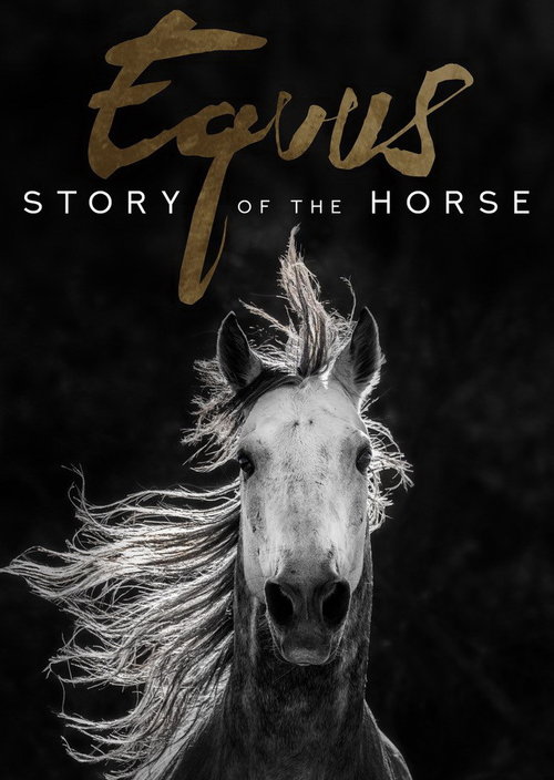 Equus - Story of the Horse - 3 x 52'