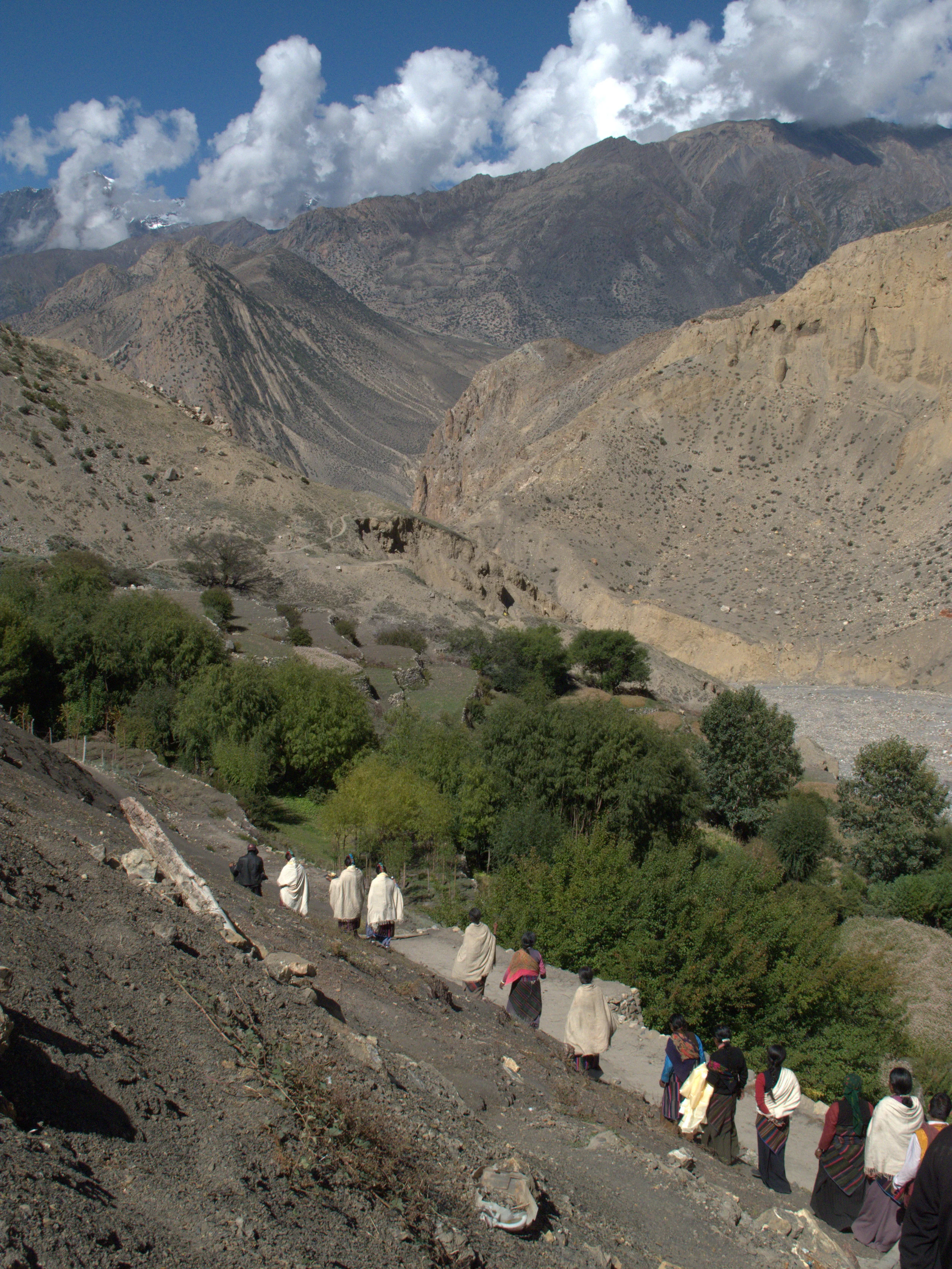 Geologic Journeys II - Official Image.jpg