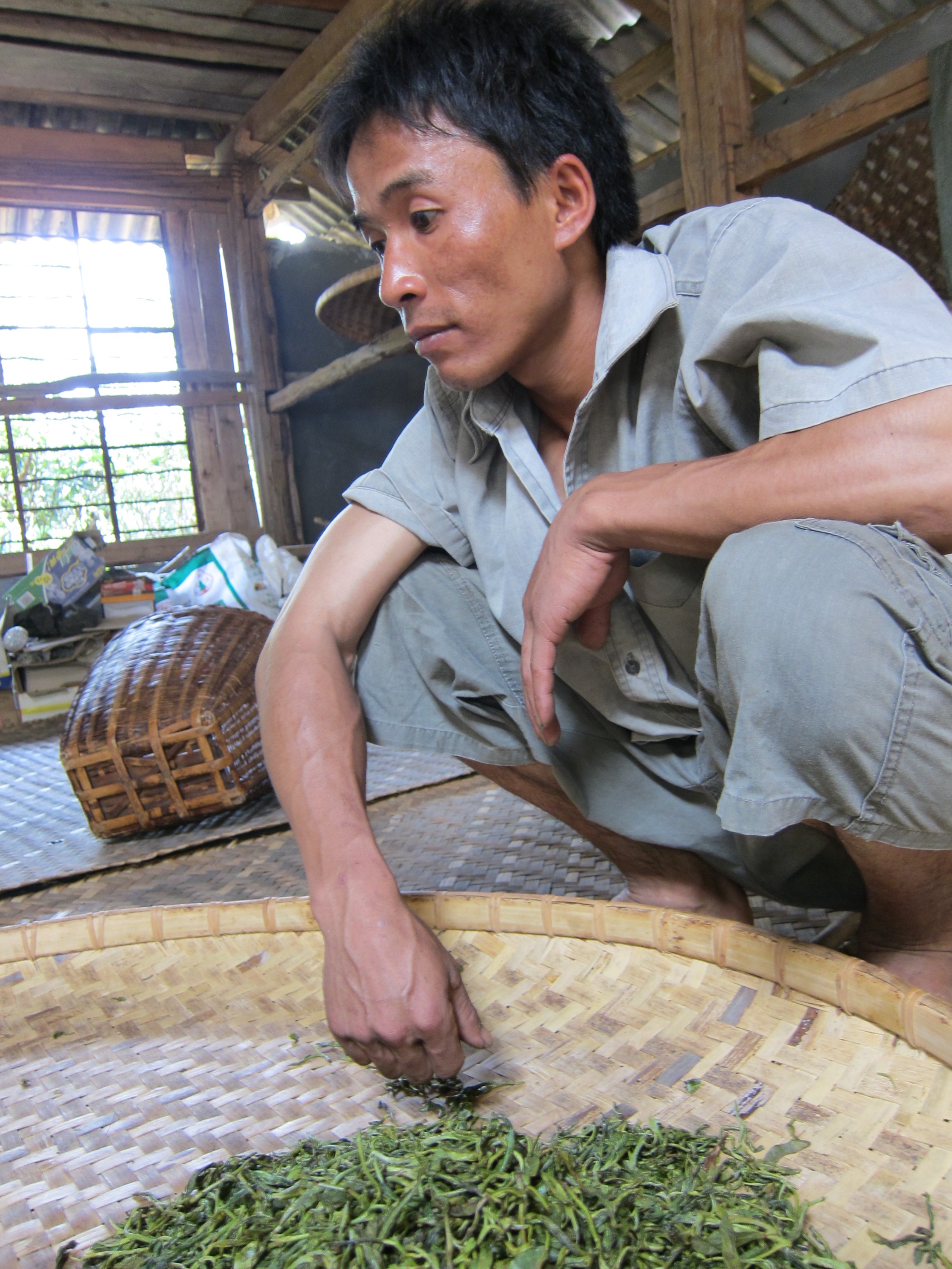 Tea Explorer - Tea Worker drying leaves.jpg