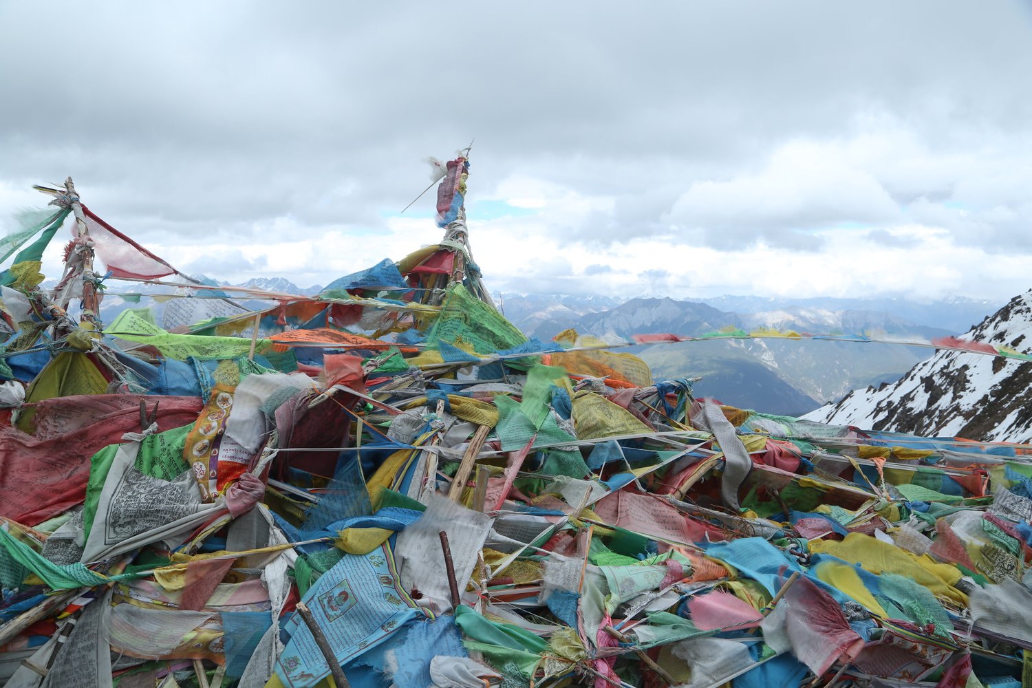The Tea Explorer — Filmoption International