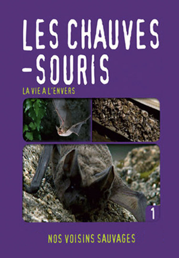 La vie à l'envers: Les chauves-souris