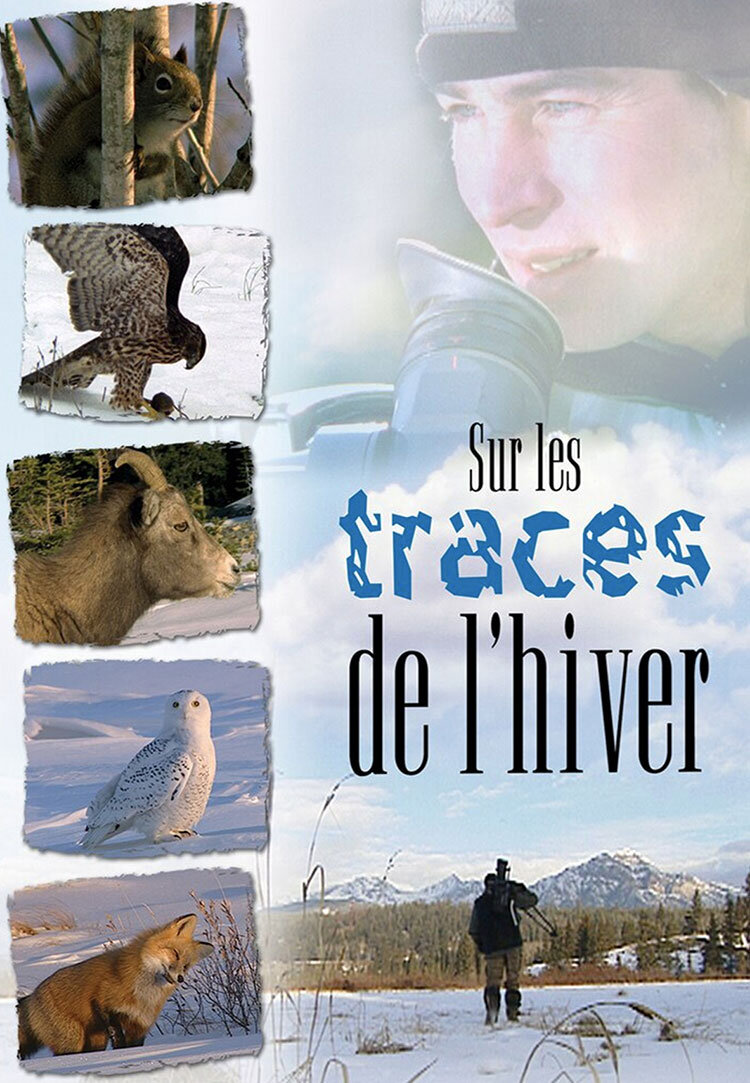 Sur les traces de l'hiver