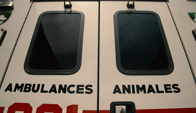 ambulances-animales.jpg